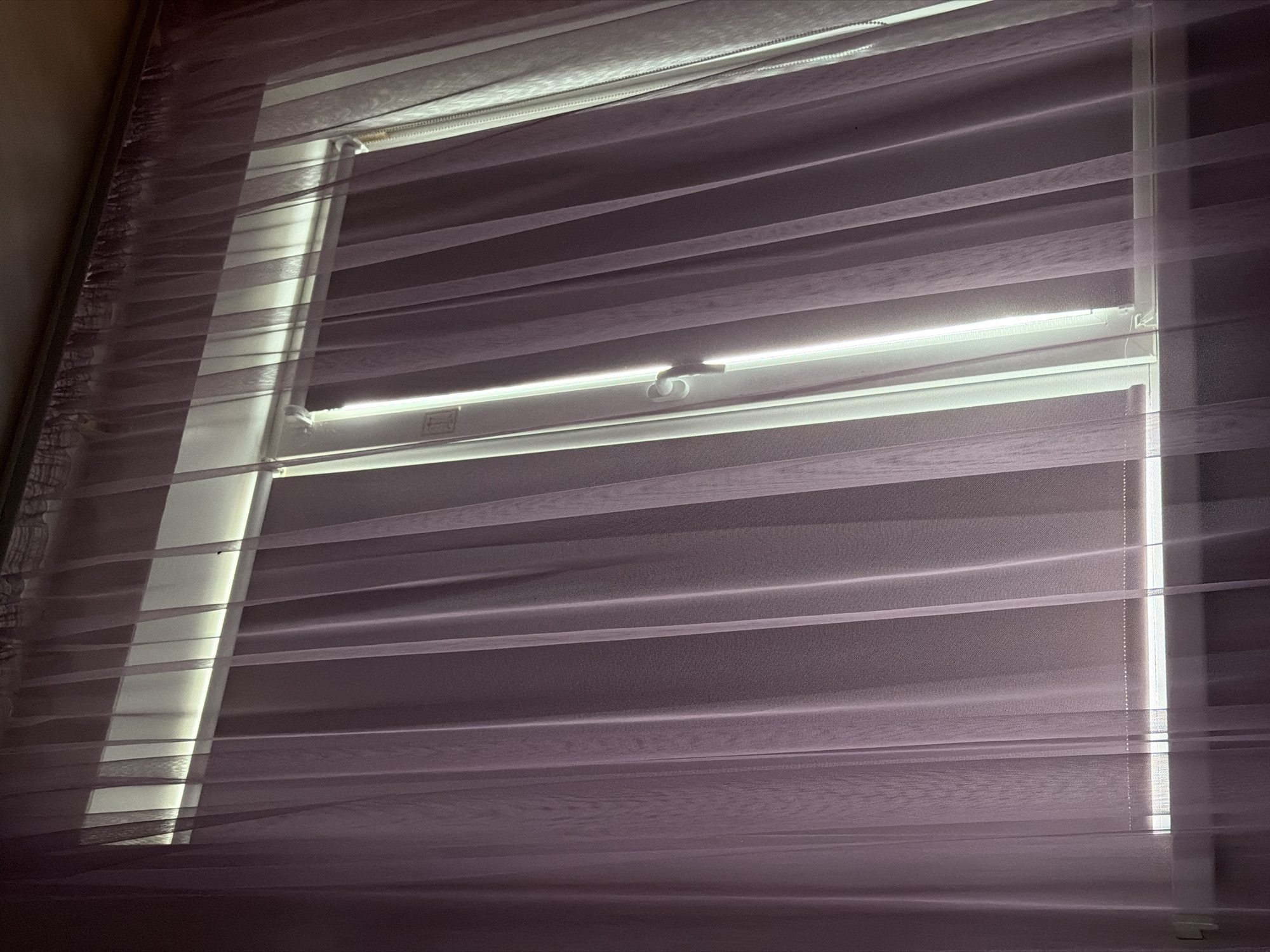 The image depicts a closed window with sheer purple curtains. The curtains are draped from a rod at the top and hang vertically, obscuring most of the view outside. A bright light emanates from behind the curtains, suggesting it might be daytime or an artificial light source. The window frame is white, and a handle is visible on one of the window panes. The scene appears to be indoors, possibly in a residential setting in Tenishevo, Russia. There are no people or discernible objects outside the window. The overall impression is one of privacy and muted light.