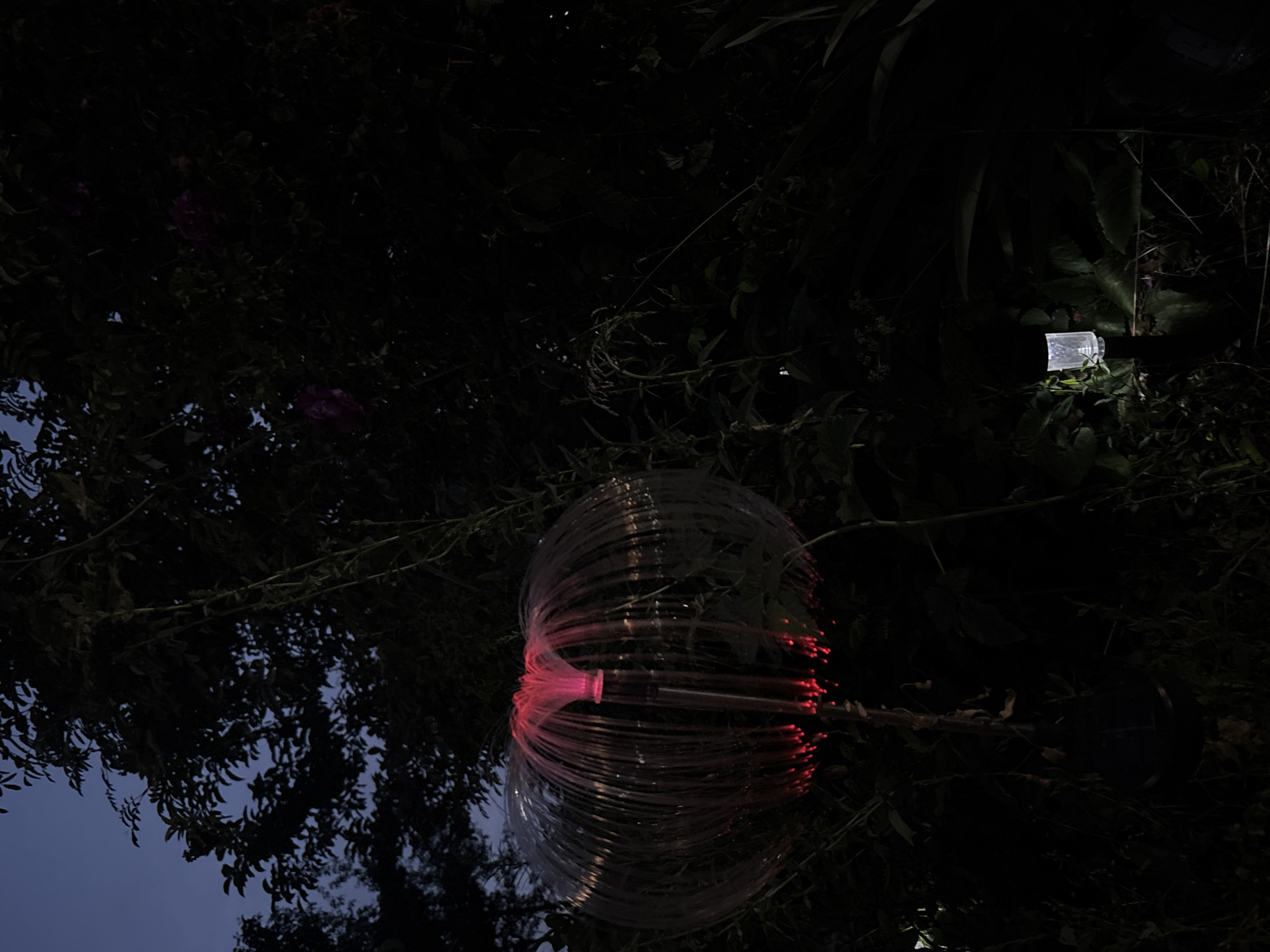 In Vishnevka, Russia, at dusk, a clear night sky transitions from a pale blue to deep indigo. In the foreground, a spherical garden light, resembling a jellyfish or dandelion seed head, glows with a vibrant red light emanating from its core and scattering through thin, translucent fibers. It is supported by a dark pole. To the right, closer to the ground, a small, cube-shaped solar-powered garden light emits a faint white glow, illuminating the surrounding dense foliage. The background is dominated by the dark silhouettes of trees and bushes, with a few faint pink blossoms visible deeper within the foliage. The overall scene depicts a dimly lit garden setting at twilight.