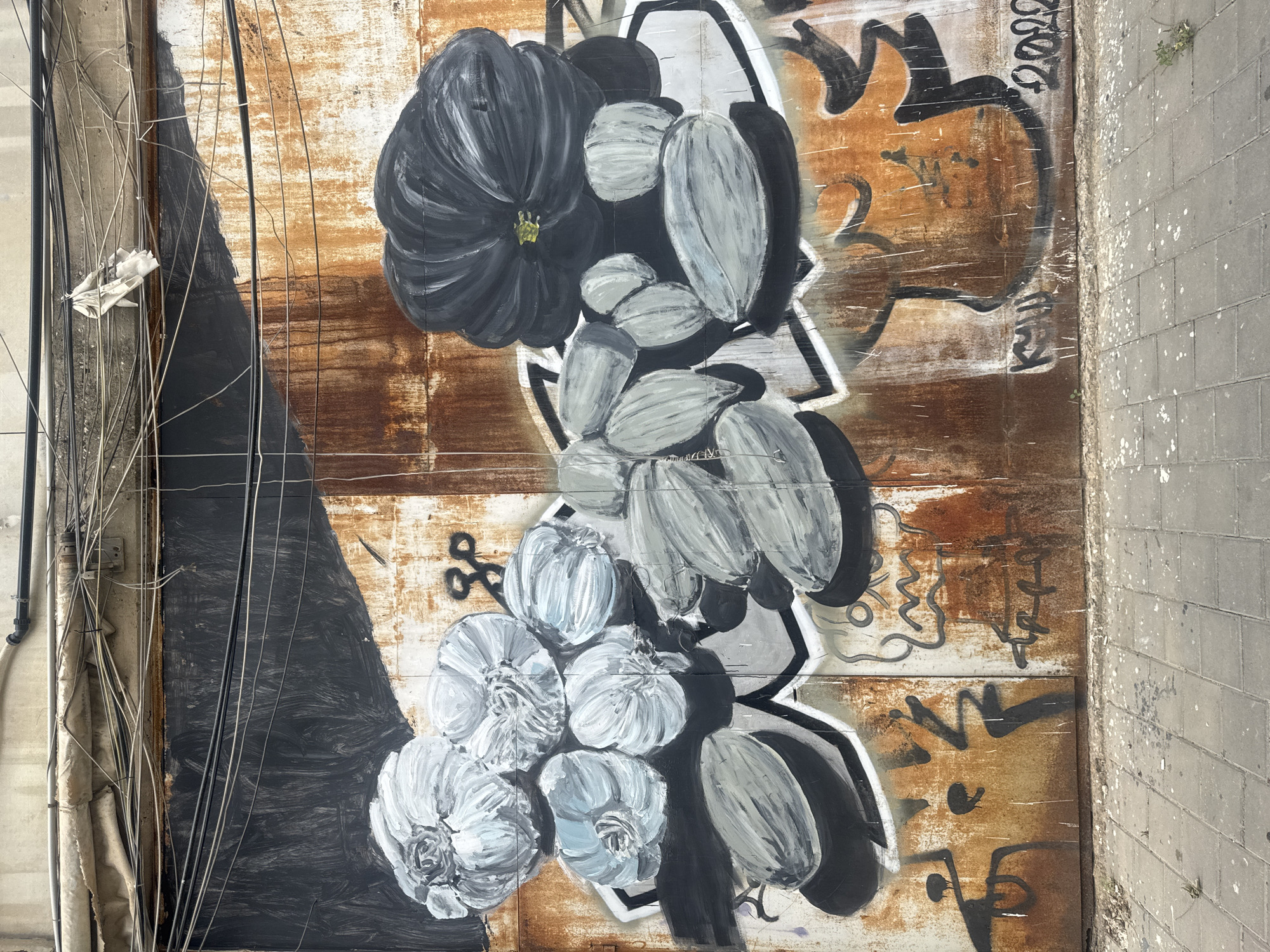The image captures a section of a metal wall covered in graffiti, with a prominent floral mural painted on it. The mural depicts several bulbous flowers in shades of gray and white, with a darker, larger bloom at the top. The background of the mural is defined by a white, angular shape, possibly outlining the floral arrangement. Beyond this mural, the wall is rusty and contains other graffiti tags and markings in black and white. To the left of the mural, there's a dark, roughly triangular area, and a cluster of wires and cables. The wall appears to be adjacent to a brick or concrete walkway. Based on the location provided, this scene is situated in Tel Aviv, Israel.