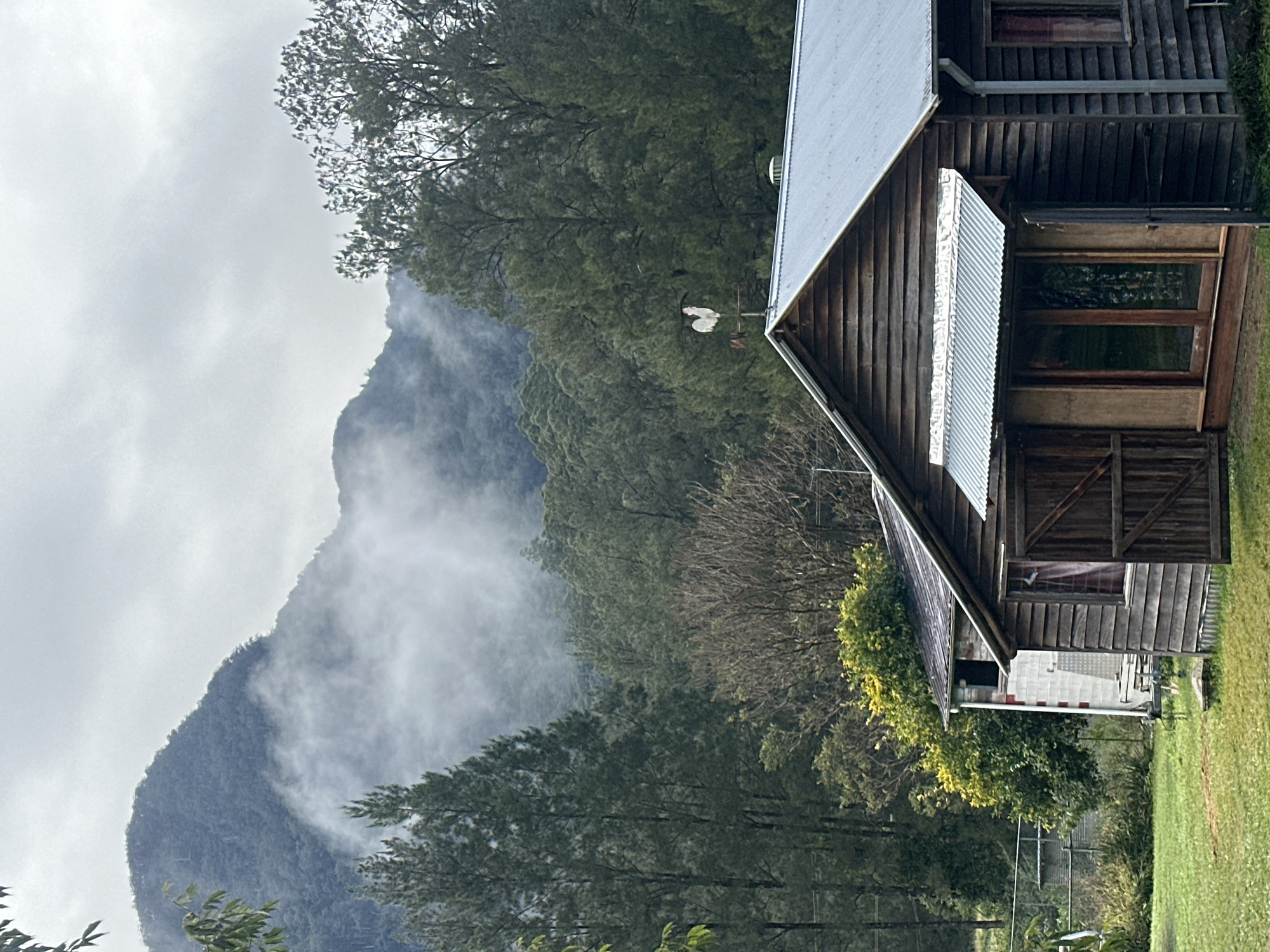 The image depicts a rustic wooden cabin with a corrugated metal roof, set against a backdrop of dense forest and a misty, cloud-shrouded mountain. A rooster-shaped weather vane adorns the peak of the cabin's roof. The cabin features wooden siding, a wooden door with a small window, and a set of glass doors with a metal awning above. To the left of the main cabin, a smaller structure with white brick and red accents is visible. The foreground consists of a well-maintained green lawn. The scene is set in Thora, Australia, with the natural environment dominating the landscape. No people are present in the image.