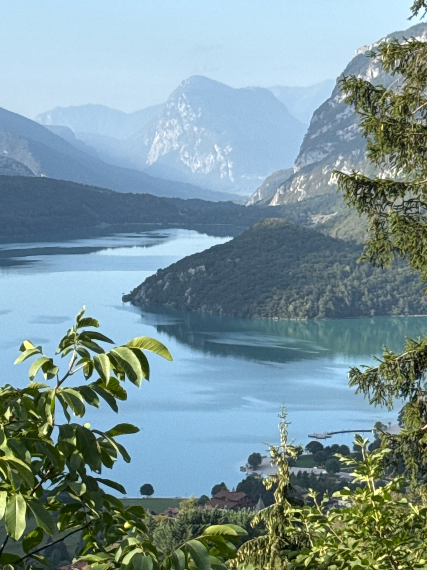 The image shows a panoramic view of Lake Molveno in Molveno, Italy. The lake is surrounded by lush green hills and majestic mountains, with the peaks of the Dolomites visible in the distance. The water of the lake is a deep blue, reflecting the clear sky. In the foreground, there are several trees with green leaves, adding a touch of nature to the scene. The image appears to have been taken on a sunny day, with the sunlight casting a warm glow over the landscape. There are no people or animals visible in the image. The scene is serene and picturesque, capturing the natural beauty of the Italian Alps.