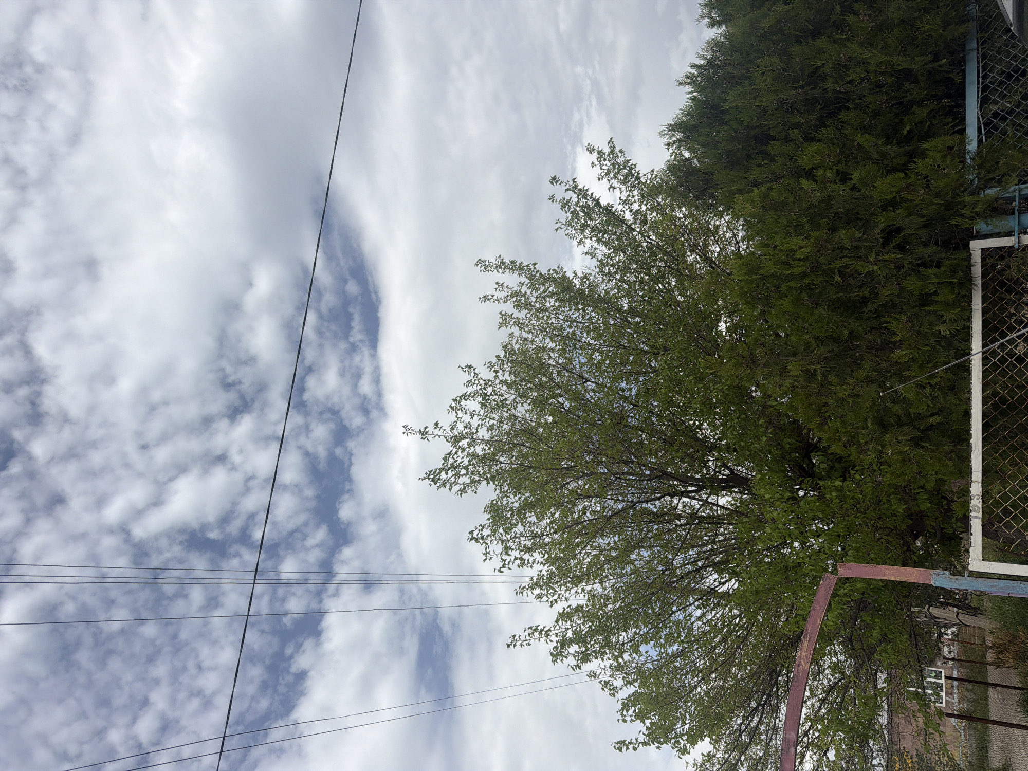 The image depicts a view towards the sky in what is likely Dimitrov, Armenia. The sky is filled with white, puffy clouds with patches of blue visible in between. Overhead power lines cut across the sky. To the right, there is a dense green tree and a section of chain-link fence with a partial metal gate. At the bottom right, there are glimpses of building and sidewalk. No people are visible.