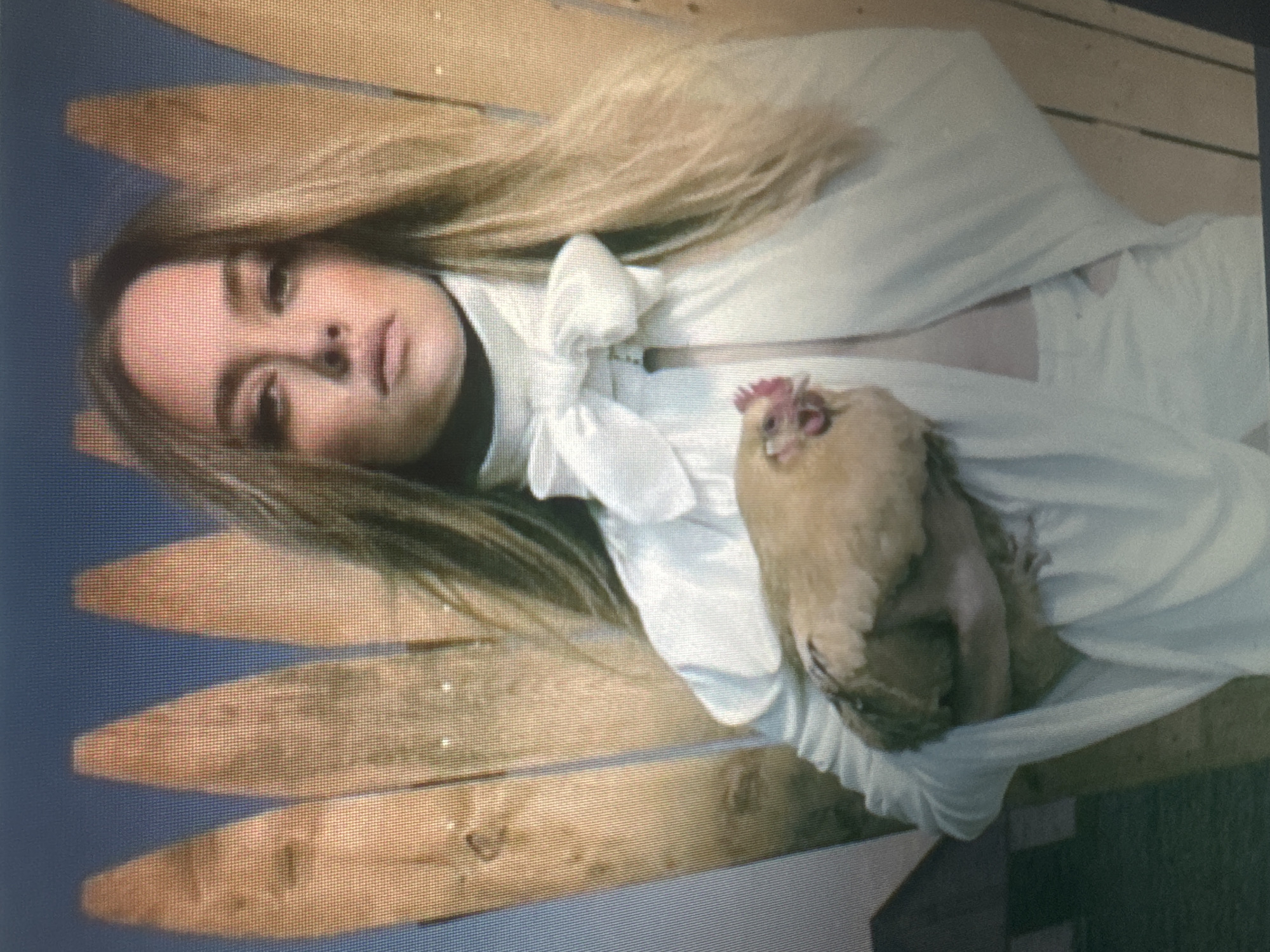 In this media file, a young woman with long blonde hair is lying down, holding a light brown chicken. She is wearing a white garment that appears to be a dress or a cape, tied at the neck with a large bow. The woman's face is visible, and she has a neutral expression. The chicken is held close to her chest, with its head and neck visible.
The woman is lying on a surface composed of wooden planks, arranged parallel to each other. The planks have a rustic appearance, suggesting an outdoor setting or a barn-like structure. The background is a muted blue, possibly indicating a sky or a backdrop. The lighting suggests it might be daytime, though the exact time of day is difficult to determine.
The overall scene conveys a sense of quietude and a connection with nature, given the presence of the woman and the chicken. The composition is vertical, with the woman's head towards the left and her feet, though not fully visible, extending towards the right. The crops provided offer closer views of the woman's face, the chicken, and the wooden planks, confirming the details of the subjects and the setting. No visible text is present in the image. The provided location context suggests Protasovo, Russia, which could imply a rural or agricultural setting.