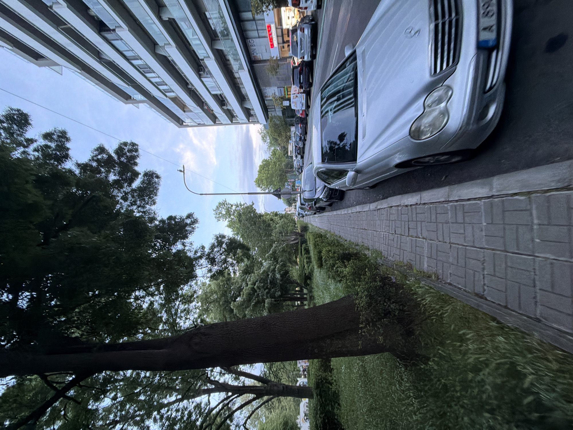 The image displays a rotated street scene in a city, identified as Burgas, Bulgaria. The perspective is from a low angle, looking upwards and along the street, with a modern, multi-story apartment building dominating the right side of the frame (originally the top). This building features numerous balconies with glass railings.
Below the apartment building, a row of cars is parked along the curb. A silver Mercedes-Benz C-Class is prominent in the foreground, with its front end partially visible. Its license plate shows a blue EU strip and characters including "A 69," which is consistent with a Bulgarian license plate from Burgas. Further down the street, a red sign on a commercial building is visible with the text "ТОП БГ" (TOP BG).
To the left of the parked cars, a paved sidewalk, made of rectangular grey blocks, runs parallel to the street. Adjacent to the sidewalk is a verdant green area, possibly a park or a wide green belt, populated by large, mature trees with thick, textured trunks and dense foliage. Maintained bushes and grassy patches also line this area. A streetlight extends from the green space towards the road.
The sky, visible in the upper central part of the image, is partly cloudy with soft, diffused light, suggesting either late afternoon or early evening. No people are visible, and the scene appears quiet and still.