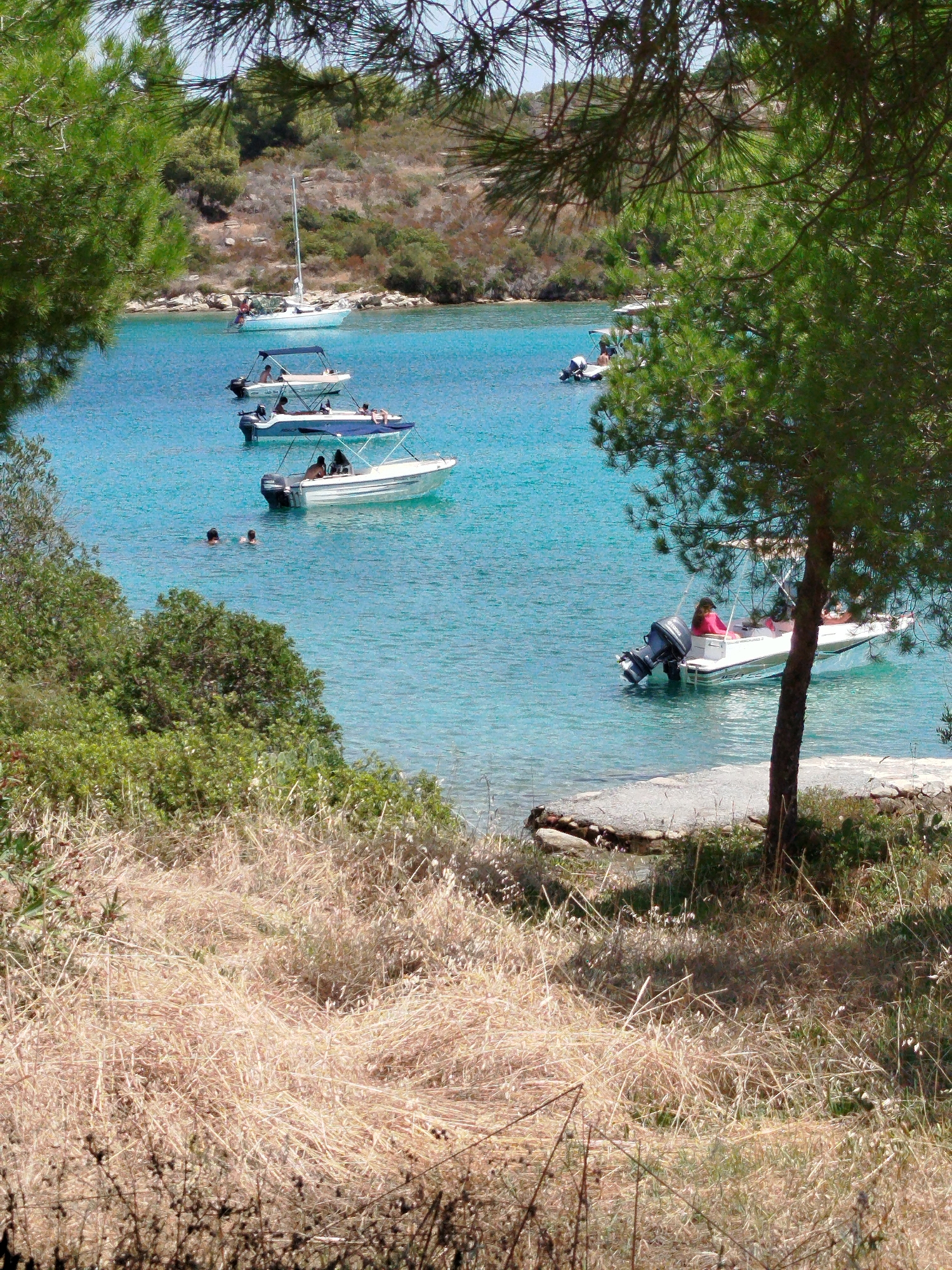 The image depicts a scenic coastal view, likely in Sithonia, Greece, characterized by clear turquoise waters and lush green vegetation. In the foreground, dry grass and foliage suggest a sun-drenched landscape. The middle ground features several small motorboats anchored in the shallow, translucent sea. One boat, in particular, has a person in a pink top at the helm. Further out, a larger sailboat with white sails is visible, indicating a serene and idyllic setting. The background shows a hilly, wooded shoreline with scattered rocks, typical of the Mediterranean coast. The overall atmosphere is one of tranquility and leisure, with the boats and the clear water suggesting a popular spot for water activities and relaxation.