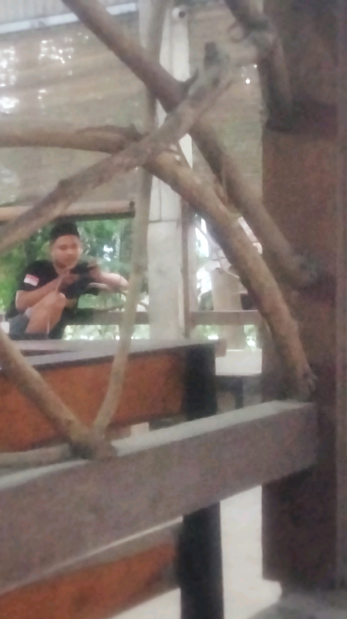 The image, taken in Plumpang, Indonesia, depicts a young male crouching in what appears to be an outdoor recreational area or structure made of wood and natural materials. He is wearing a black t-shirt with a white and red emblem on the left sleeve, and dark shorts. He is holding a dark object, possibly a camera or other electronic device, in his hands and appears to be looking at it. The background shows greenery and a rustic wooden structure, suggesting a casual, open-air setting. The lighting is somewhat diffused, indicating it might be overcast or late in the day. The focus is on the individual, with the surrounding environment slightly blurred.