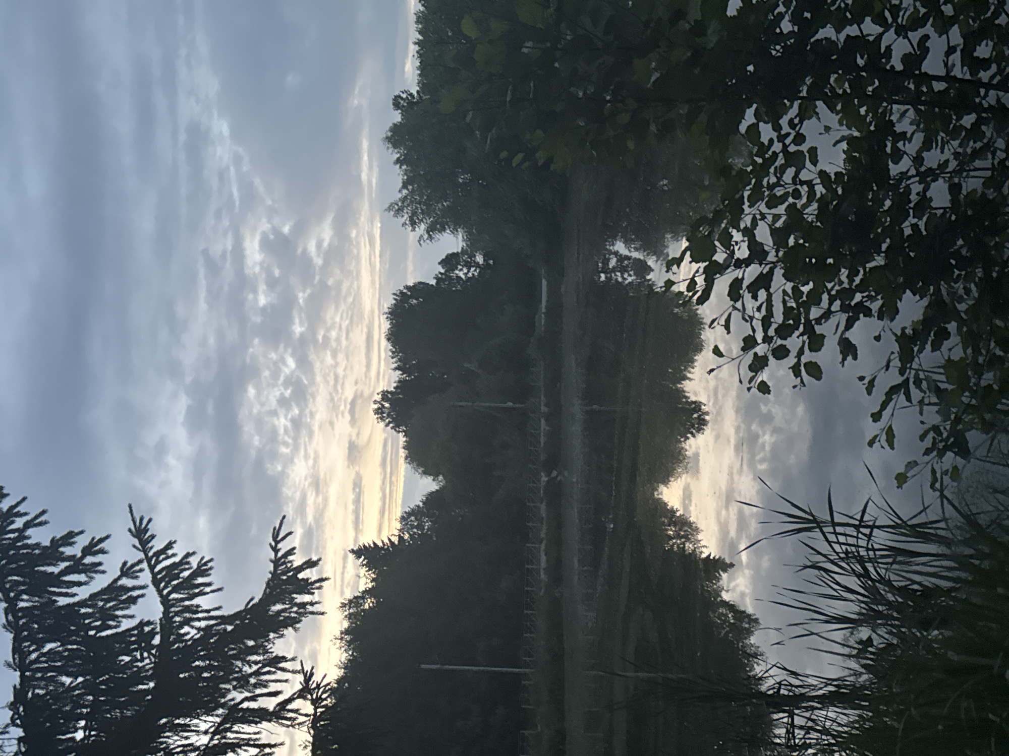 The image presents a tranquil scene near the city of Chaikovsky, Russia. It captures a body of water, possibly a lake or a wide river, reflecting the sky and the surrounding trees. The sky is filled with clouds illuminated by the soft light of either sunrise or sunset. Trees of various types frame the body of water, including evergreens and deciduous trees with dense foliage. The vegetation in the foreground appears to be thick, with tall grasses and shrubs. The scene is still and peaceful, suggesting a moment of quiet contemplation in a natural setting. A fence runs through the trees.