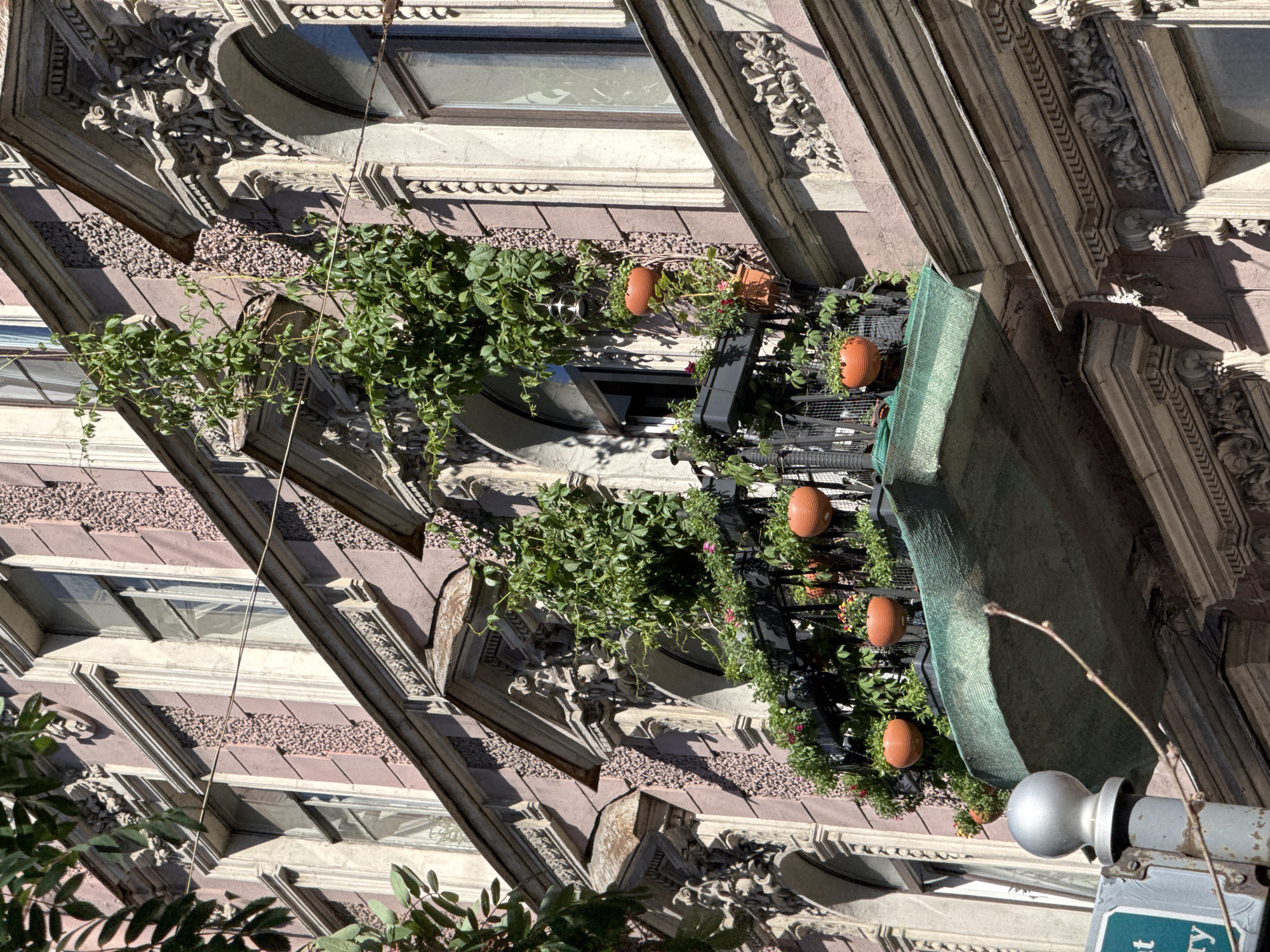 A close-up, upward-angle shot captures the ornate facade of a building in Saint Petersburg, Russia. The architecture features elaborate decorative carvings and textured stone panels. Cascading green vines and potted plants adorn several levels of the building, creating a vertical garden against the backdrop of classical architectural details and windows. Some of the pots are a terracotta orange. The scene is illuminated by bright sunlight, suggesting a clear day, likely daytime. The overall impression is one of urban greenery integrated into historical architecture. No people are visible. There is a street sign visible at the bottom right of the frame, but the text is mostly obscured by a light pole and is not clearly legible.