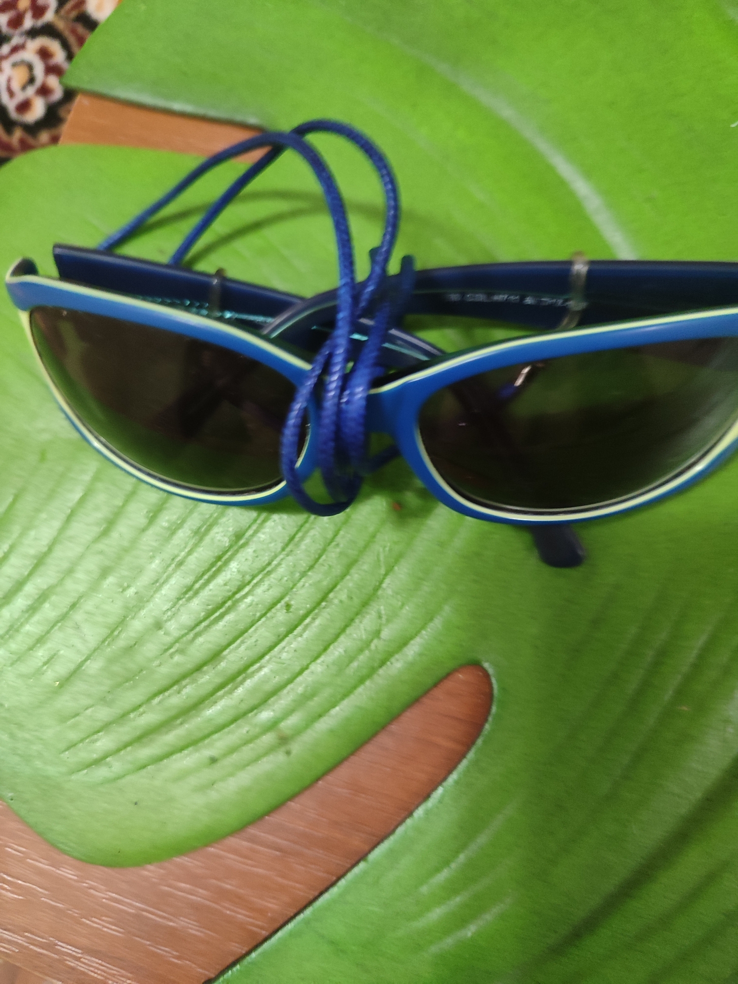 A pair of dark-lensed sunglasses with blue frames and a blue cord rests on a large, green, artificial leaf. The leaf is lying on a wooden surface. The sunglasses have a light-colored trim around the lenses. The image quality is poor, making it difficult to discern specific details or any identifying marks on the sunglasses. The scene appears to be indoors, possibly a domestic setting, and does not offer any clues about its location within Mykolaiv, Ukraine, or any specific context.