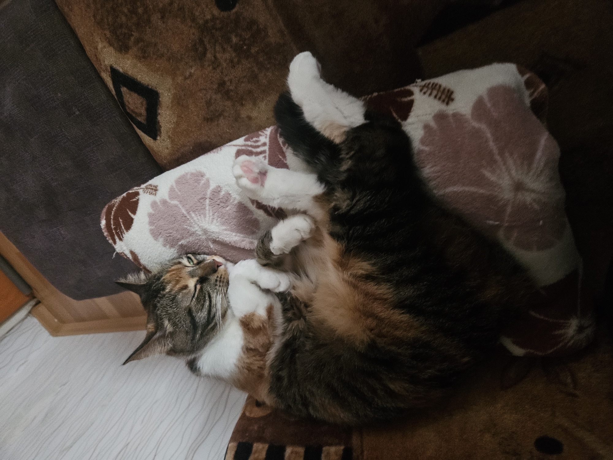 A domestic cat with calico or tortoiseshell fur, featuring patches of white, brown, and dark grey/black, is shown resting indoors. The cat is lying on its back or side, curled up on a soft, patterned blanket or cushion. Its paws are in a relaxed position, with white fur and visible pink toe beans on one paw. The cat's head is tilted upwards, its green eyes are partially open, and long white whiskers are prominent.
The patterned blanket, displaying white and pink/brown floral designs, covers a section of a sofa or armchair made of a dark brown fabric with a subtle diamond pattern. To the left, a different piece of furniture or upholstery in a dark grey color is visible. The scene suggests a comfortable and peaceful setting, likely a living room. The lighting is soft, indicative of an indoor environment. There is no visible text in the image.