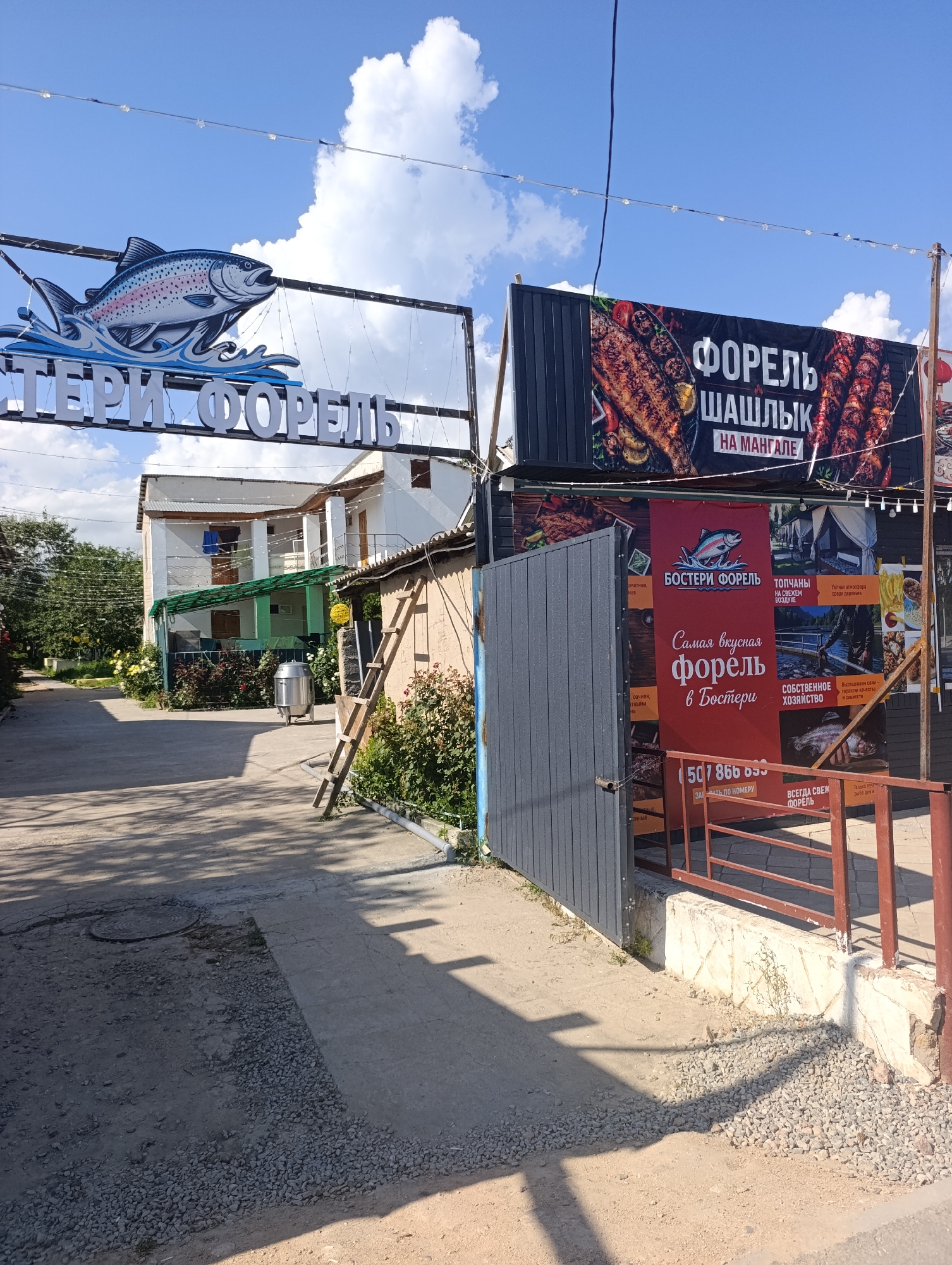The image shows an outdoor scene on a sunny day in Bosteri, Kyrgyzstan, featuring signage for a trout restaurant. A large, white sign with a stylized jumping trout and the words "ТЕРИ ФОРЕЛЬ" is visible against a blue sky with white clouds. To the right, a dark banner displays "ФОРЕЛЬ ШАШЛЫК НА МАНГАЛЕ," indicating trout shashlik cooked on a grill. A red banner below advertises "БОСТЕРИ ФОРЕЛЬ," with text in Russian and images of prepared trout dishes, tents, and a fishing pond. A phone number, "507 866 899," is also displayed.
The setting appears to be an entrance to a facility, with a grey metal gate on the left and a brown railing on the right. A wooden ladder leans against a building behind the gate. In the background, a multi-story white building with balconies and green awnings is visible, surrounded by trees and rose bushes. A large silver cylindrical tank is positioned near the building. The ground is a mix of concrete, gravel, and dirt, with shadows cast by overhead structures and foliage. The overall impression is that of a roadside establishment catering to tourists or locals seeking fresh trout and outdoor dining.
