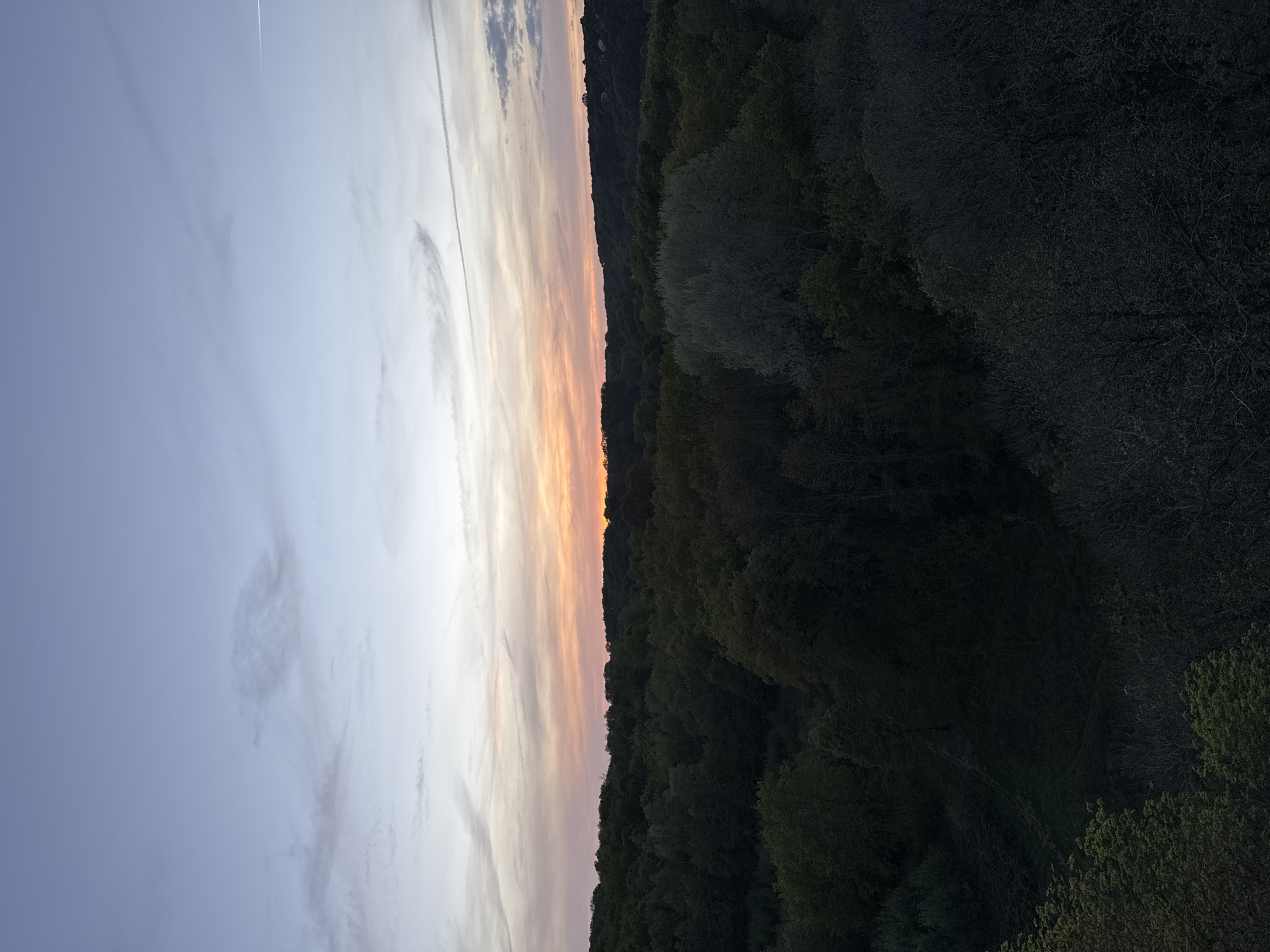 This image depicts a serene natural landscape at either sunrise or sunset, showcasing a vast expanse of sky and a dense forest. The sky, occupying the upper two-thirds of the frame, transitions from a soft light blue at the zenith to vibrant warm hues of orange, pink, and light yellow along the horizon line. Wispy, elongated clouds stretch across the sky, with a subtle airplane contrail visible in the upper left.
Below the colorful horizon, a dense treeline forms a dark, undulating silhouette. The forest appears deep and lush, with shades of green foliage visible on some trees, while others exhibit the intricate, bare branches typical of deciduous trees in cooler seasons or deep shadow. The overall darkness of the forest suggests the low light conditions of dawn or dusk.
The scene conveys a sense of tranquility and natural beauty, devoid of any visible human activity, people, or artificial structures. The notable details include the striking color gradient of the sky, indicating the time of day is either sunrise or sunset, and the texture of the forested landscape. No text is visible in the media file. Given the context, this is a view from Bures-sur-Yvette, France.
