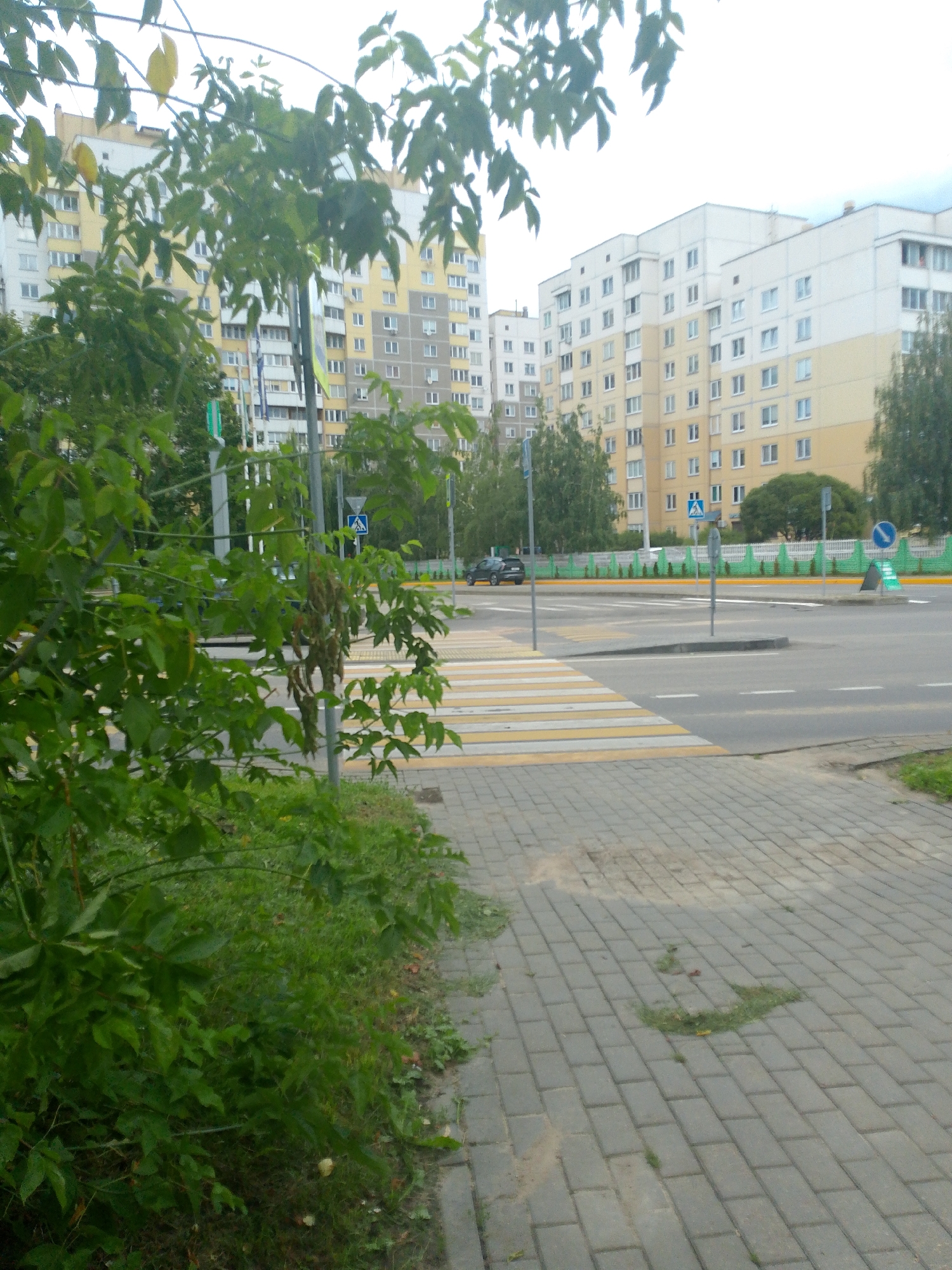 A crosswalk is visible on a paved road with yellow and white stripes. The crosswalk leads to a sidewalk made of grey pavers. On the left side of the road, there is a dense green bush. Behind the bush and across the street, there are multi-story apartment buildings. Several trees are scattered throughout the scene. Traffic signs are present, including a blue sign with a white pedestrian symbol and a circular blue sign with a white arrow. A black car is parked on the left side of the road. The sky is overcast.