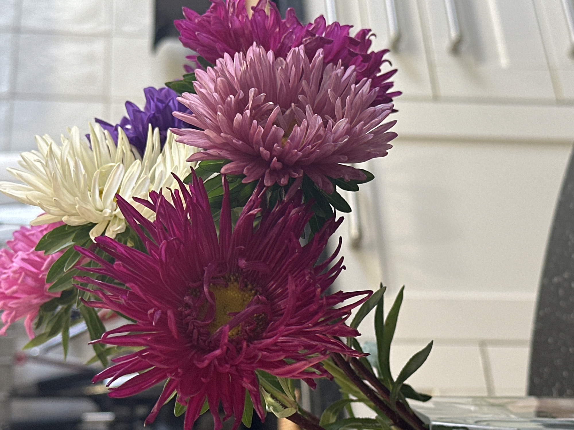 A close-up, eye-level shot shows a bouquet of asters in a clear glass vase. The flowers are vibrant and in focus, with a variety of colors including deep pink, light pink, white, and purple. The background is blurred, revealing kitchen cabinets with white doors and silver handles. The surface of a dark countertop is visible at the bottom of the frame. There is no indication of any specific location in Nevinnomyssk, Russia. The image captures a still life arrangement of flowers in an indoor setting.