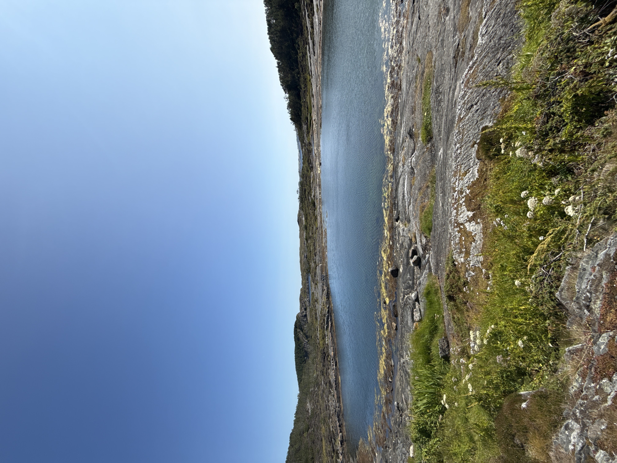 This is a vertical, eye-level, outdoor, full shot of a tranquil lake in Rong, Norway. The sky is a clear, cloudless blue and occupies the top third of the image. Below the sky, the lake is a deep, calm blue, reflecting the clear sky. The lake is surrounded by rocky terrain with sparse patches of green grass and small white wildflowers growing in the foreground. In the background, rolling hills covered in dark green trees rise up from the rocky landscape. The overall impression is one of peaceful, natural beauty.