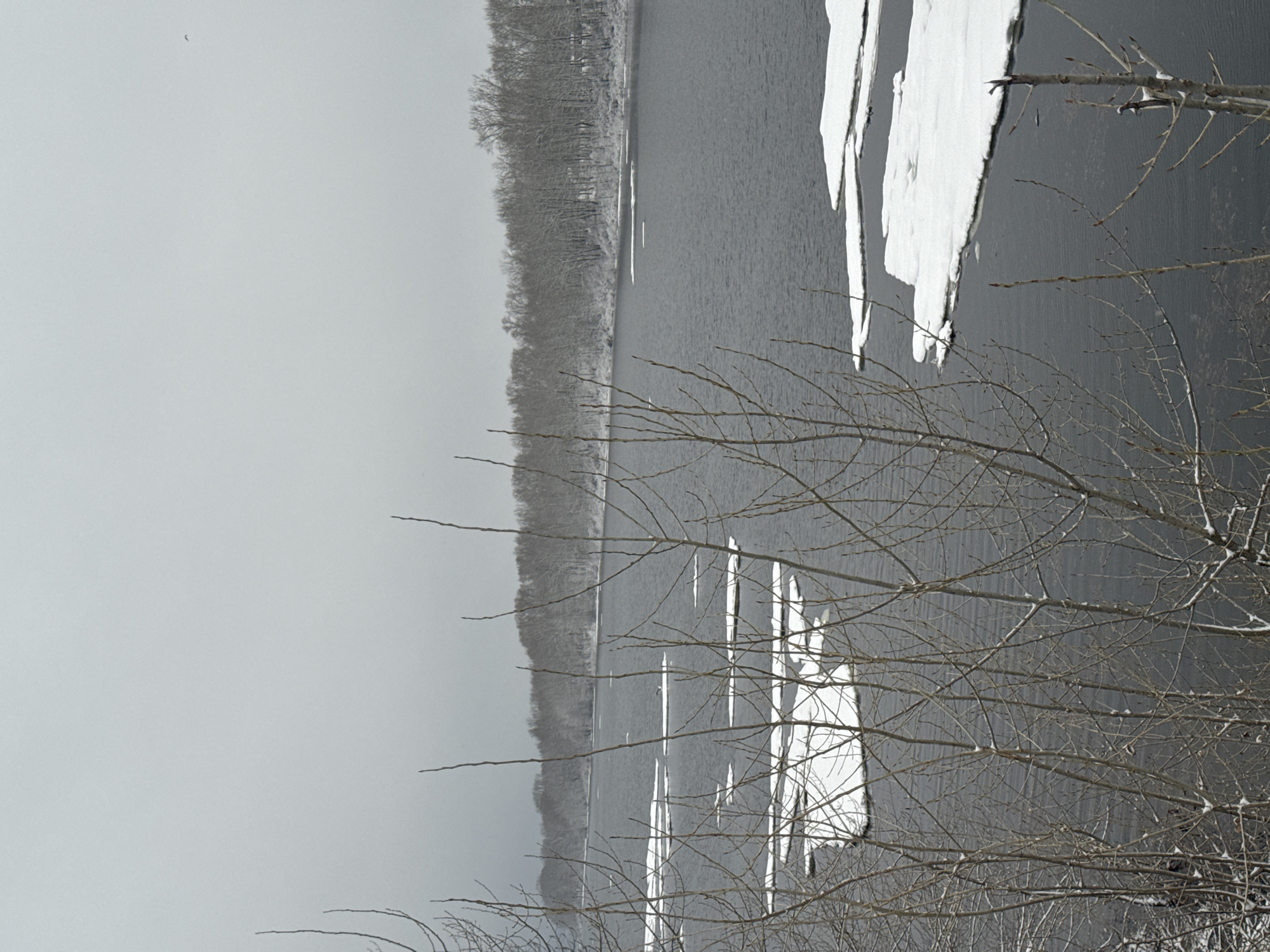 The image depicts a winter scene, likely in the city of Chaikovsky, Russia. A body of water is visible, partially covered with ice and snow. Along the shoreline on the opposite side of the water, there is a line of trees, also covered in snow. Bare tree branches are in the foreground. The overall atmosphere is grey and overcast.