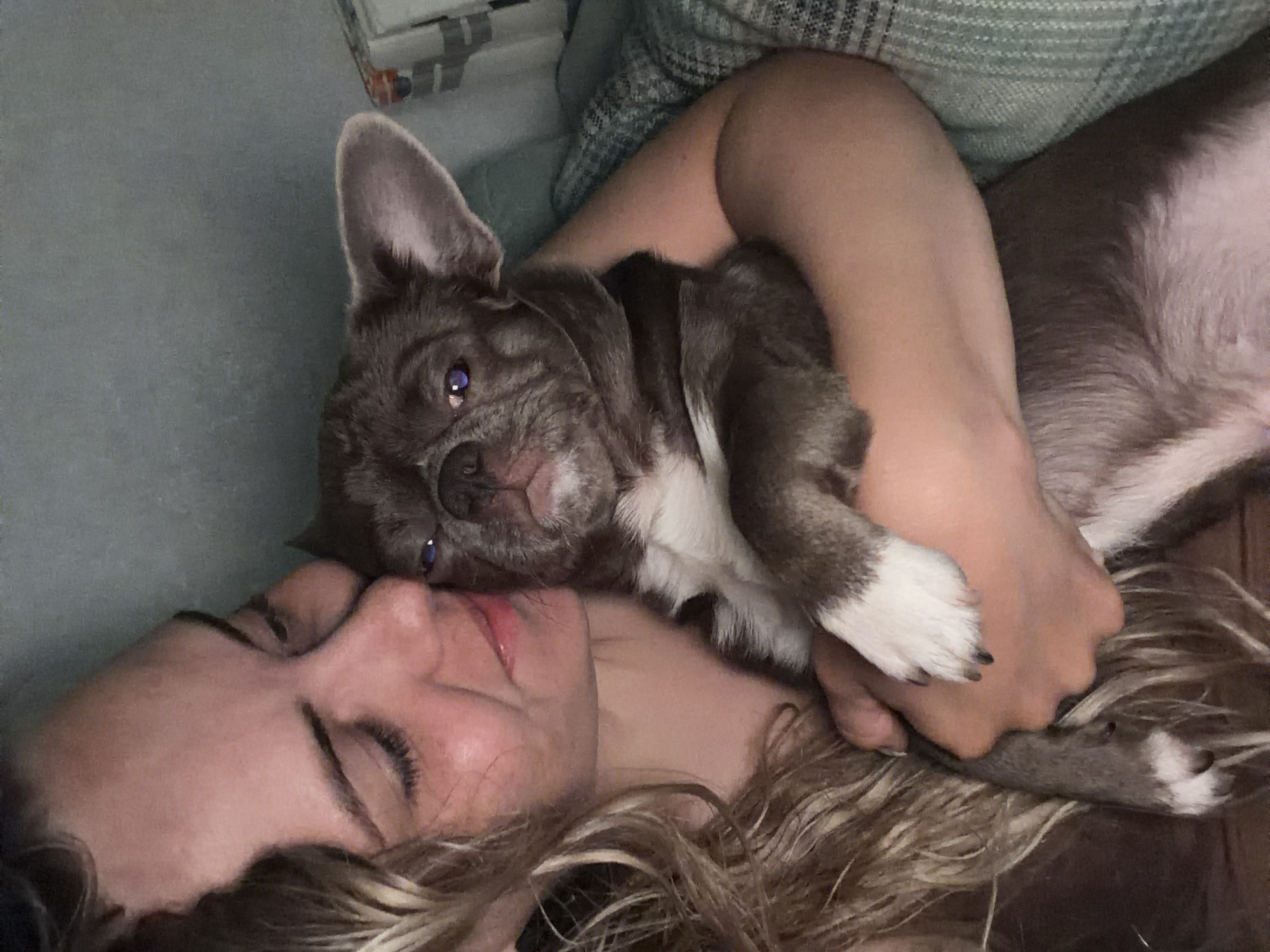A woman with long, light brown hair is lying down with a small, gray and white dog resting on her chest. The dog appears to be a French Bulldog with one ear erect and the other folded. The woman's eyes are closed, and her face is near the dog's head. The dog's eyes are open, and it appears to be looking at the camera. The woman is wearing a light-colored top. The background consists of a bluish-gray surface and a checkered blanket or top. There is no indication of the city of Votkinsk, Russia in this image.