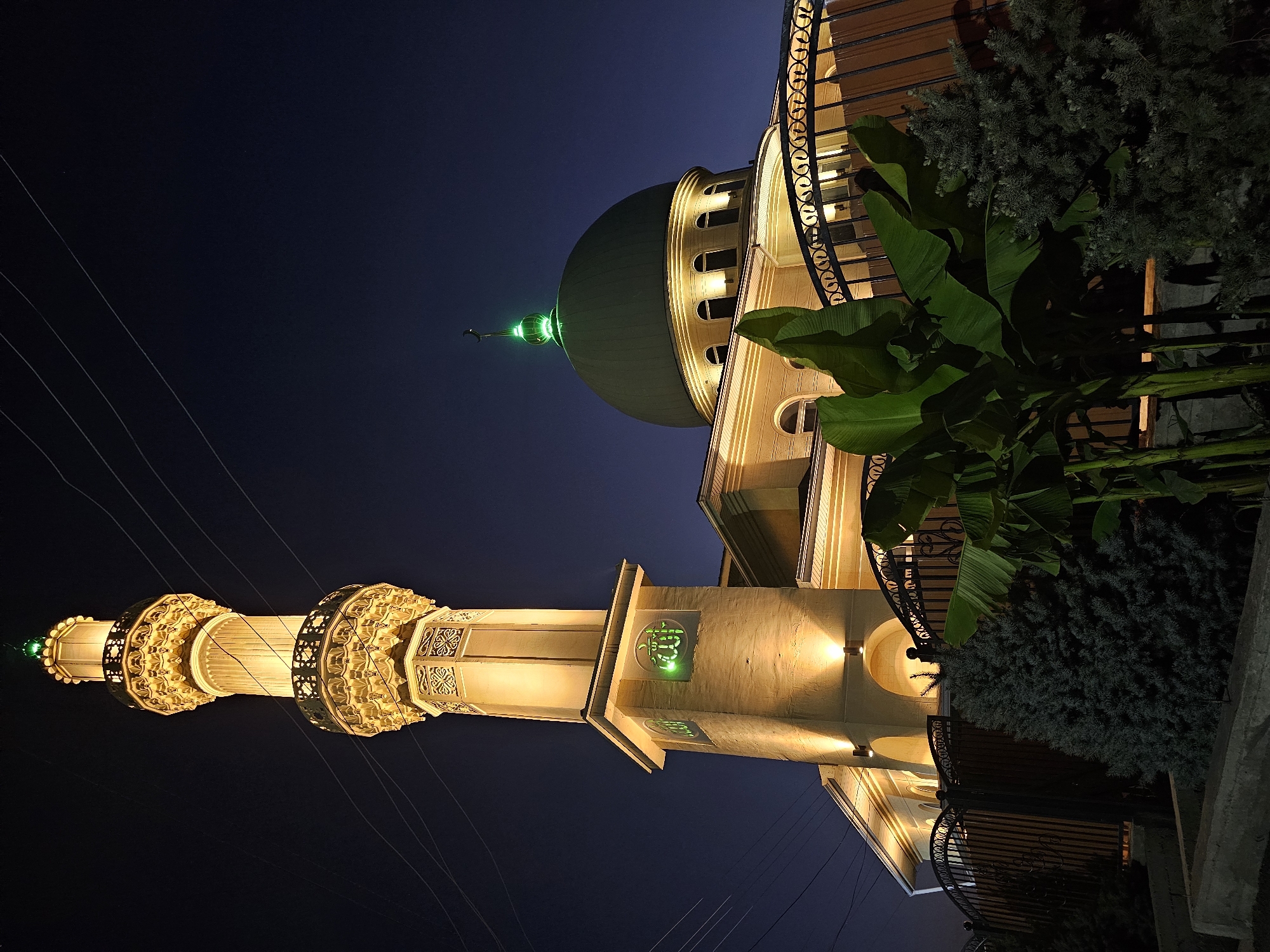 A tall, illuminated minaret, adorned with intricate patterns and capped with a green finial, stands prominently on the left side of the image. To its right, a large, greenish dome, also illuminated and topped with a crescent moon, presides over a light-colored building. Green Arabic calligraphy is visible on the lower section of the minaret. In the foreground, lush green banana-like plants and dense evergreen trees are partially obscuring a decorative metal fence. The scene is set against a dark night sky, with faint power lines crisscrossing the upper portion of the frame. The lighting suggests this is an exterior shot of a mosque at night. The specific location is identified as a mosque in the city of Özgön, Kyrgyzstan.