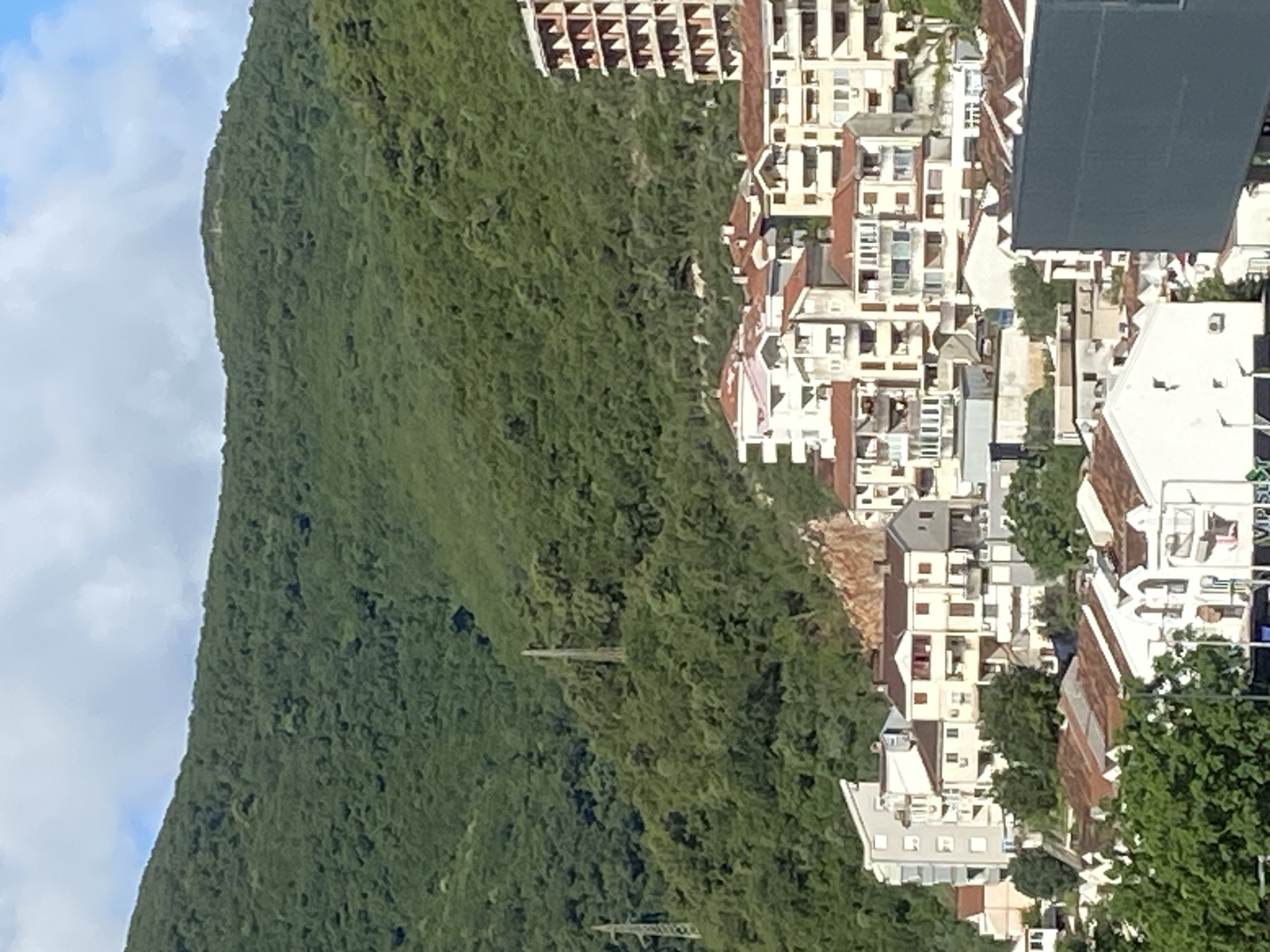 This image captures a vibrant daytime scene in Budva, Montenegro, showing a densely populated urban area nestled against a steep, verdant mountain.
The dominant feature is the massive, tree-covered mountain, rising dramatically on the left side of the frame, blanketed in lush green foliage. Its peak is visible against a clear blue sky dotted with scattered white clouds. Two utility poles or power line structures are faintly discernible on the mountainside.
To the right of the mountain, a sprawling collection of buildings forms a townscape. These structures vary in size and style, predominantly featuring light-colored facades (white, beige, or light grey) with a mix of red-ttiled roofs and flat, dark grey roofs. Many buildings appear to be multi-story, some with visible balconies and windows. The architecture suggests a Mediterranean or Adriatic coastal setting, with dense construction on terraced or sloped land. Green trees and other vegetation are interspersed among the buildings, adding pockets of nature within the urban fabric.
No human activity or specific events are depicted; the scene is a static landscape view. The bright, even lighting suggests it is mid-day with fair weather. On a white building towards the bottom right, the partial text "VIP SLO" is visible, likely part of a sign for a business or hotel. The arrangement of buildings ascending the mountain creates a distinct visual of a town harmoniously integrated with its natural surroundings.