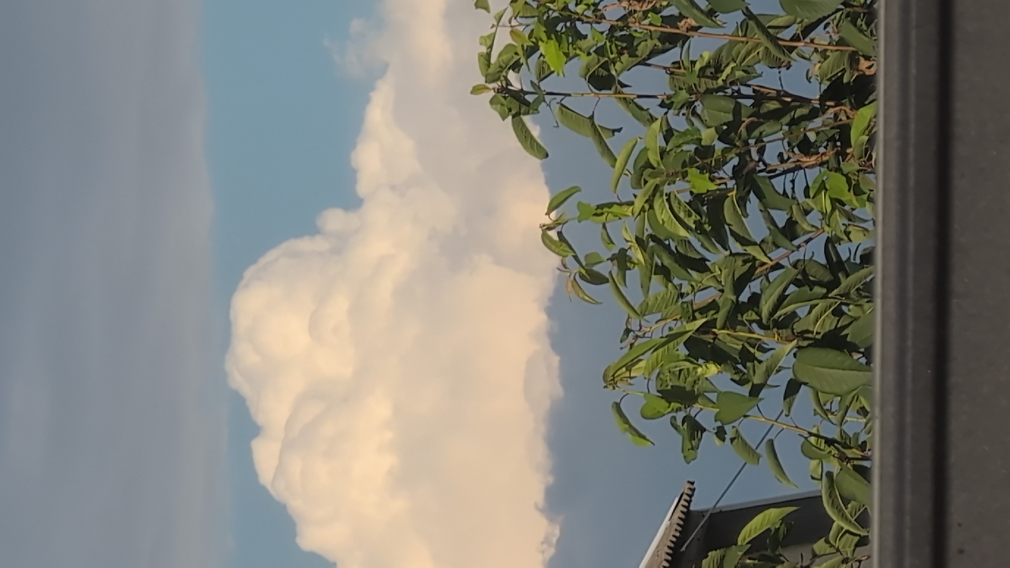 The image captures a portion of the sky and foliage from a ground-level perspective, likely from a residential area. In the upper portion of the frame, a bright, puffy cumulus cloud dominates the sky, tinged with warm, possibly sunset or sunrise light. Beneath this, a darker, more diffuse layer of clouds creates a contrast. The sky itself is a clear blue. In the foreground and lower half of the image, lush green foliage from trees or bushes is visible. The leaves are vibrant and appear healthy. To the left, a small section of a building's roof, constructed with corrugated metal, is visible, suggesting a typical urban or suburban setting. The overall scene is tranquil and natural, with hints of human presence through the building's roof. The context of Izmail, Ukraine, suggests this image was taken in a city known for its proximity to the Danube River and its historical significance.