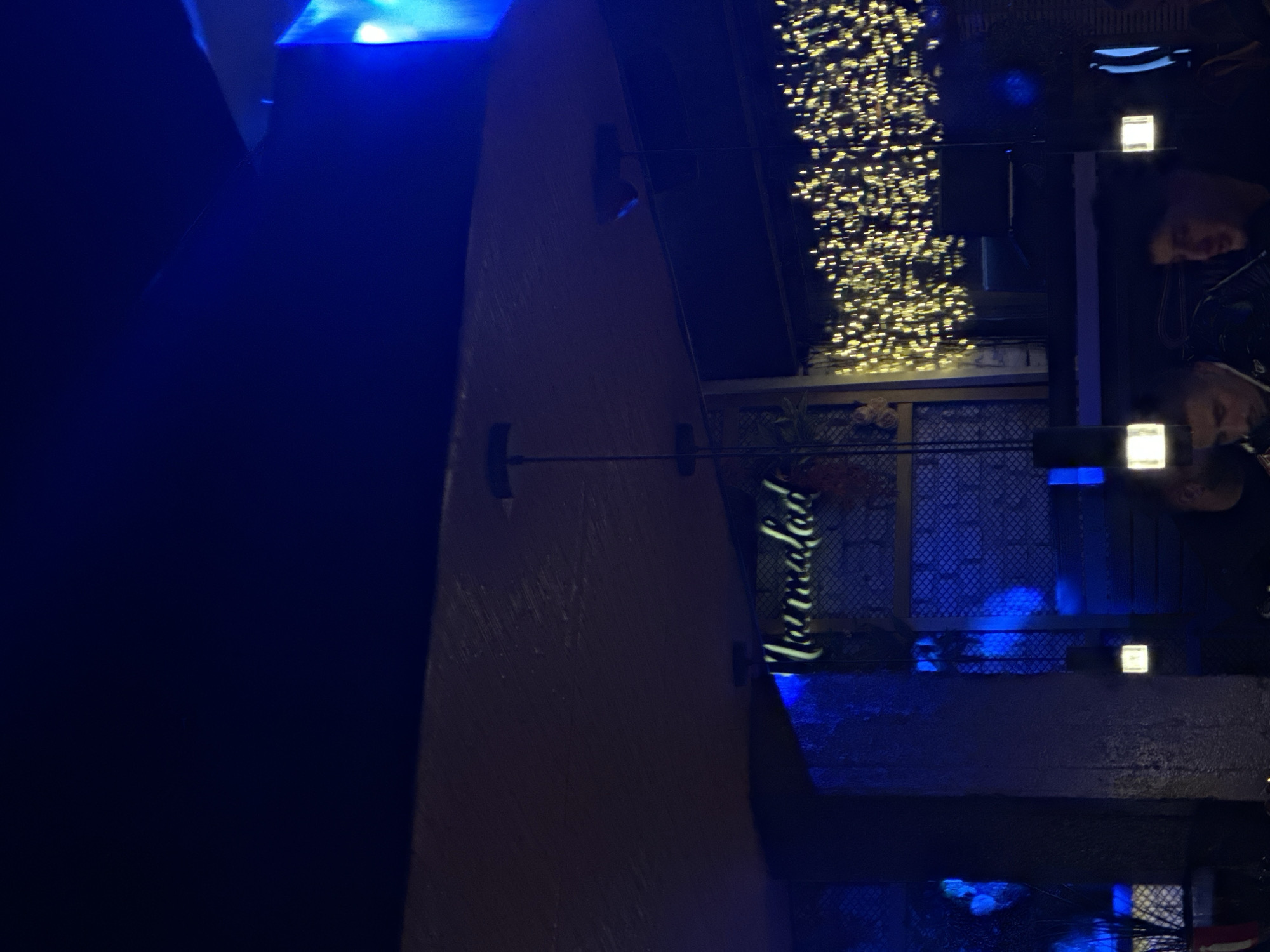 The image shows a nighttime scene, likely taken in the city of Plovdiv, Bulgaria, indicated by the sign "Tarnalad." The photograph appears to be taken at an outdoor restaurant or establishment, possibly with a patio or balcony overlooking a body of water, as there are reflections of lights. There are strings of lights displayed, suggesting a festive or decorated environment. The image is focused on architecture, potentially a building facade or a decorative structure.