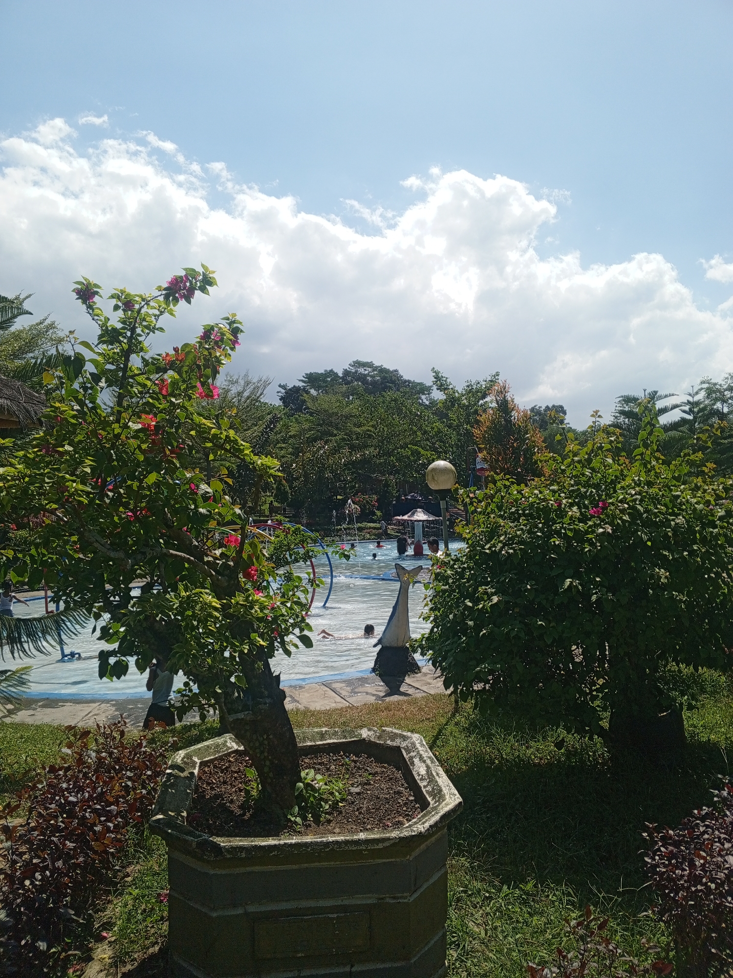 The image captures a lively outdoor scene, likely at a water park, under a bright, partly cloudy sky. In the foreground, a potted bougainvillea tree with vibrant pink flowers stands to the left, and a dense green bush is positioned to the right. Behind these plants, a swimming pool is visible, with several people enjoying themselves. Some are in the water, while others are near the edge. A statue of a dolphin or whale tail rises from the water's edge. Lush green trees and vegetation surround the pool, indicating a tropical or sub-tropical environment. A thatched-roof structure, possibly a hut or shelter, is partially visible on the far left. The overall impression is one of a recreational area in a well-maintained park setting.