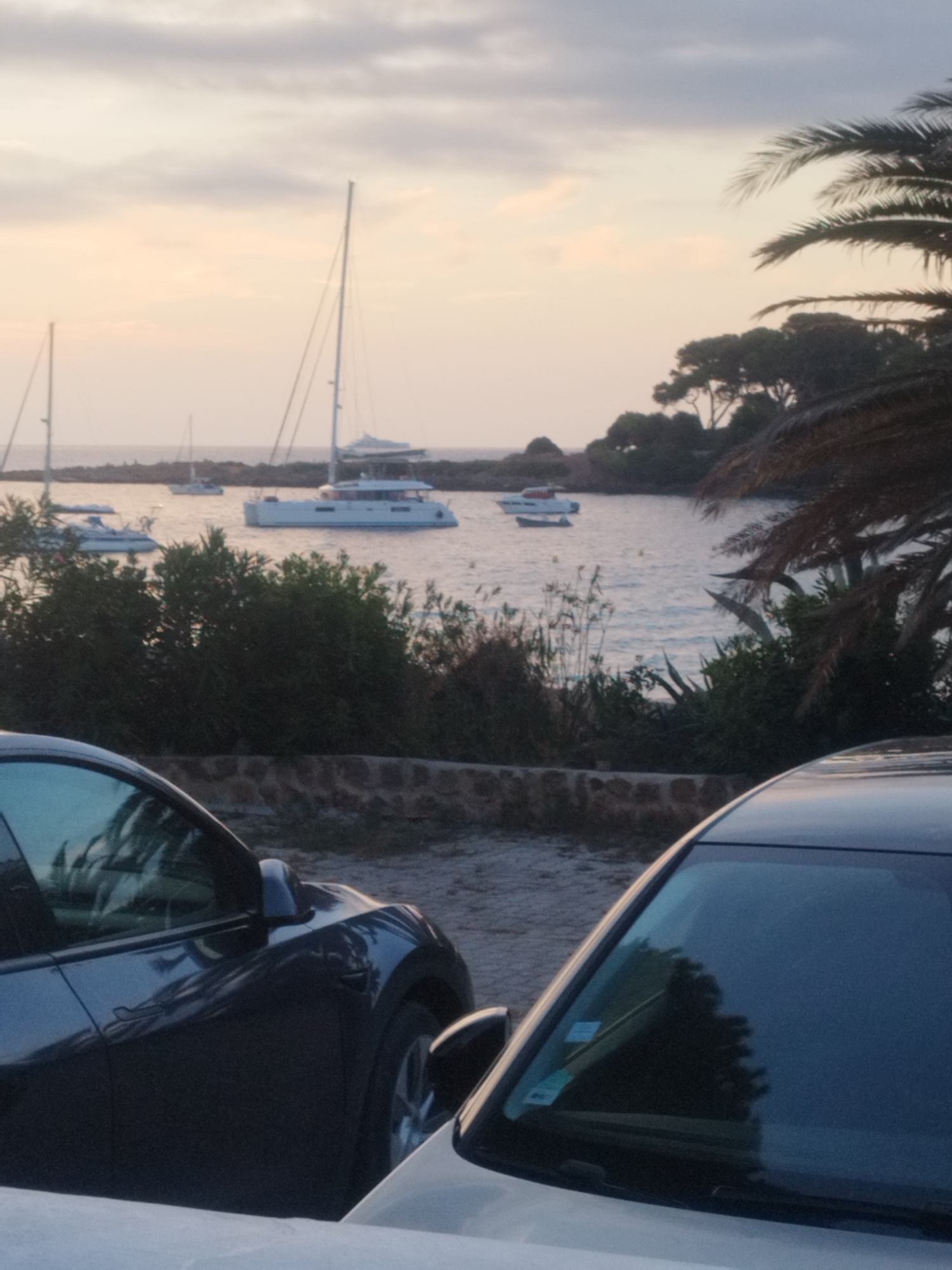 The image depicts a tranquil coastal scene at dusk, likely in Antibes, France, characterized by a soft, diffused light. In the foreground, the dark surfaces of two cars are visible, one a deep blue and the other a lighter tone, reflecting the environment. The blue car's side mirrors and door handles are distinct. Behind the cars, a low stone wall separates the parking area from a lush, dense green hedge. Beyond the vegetation, the calm, reflective water of the sea stretches out, dotted with several sailboats and yachts. The largest vessel, a white catamaran, is prominently positioned. The horizon line is defined by a distant, tree-covered coastline and a hazy sky with subtle cloud formations, tinged with the warm hues of sunset. Palm fronds and other foliage frame the upper right portion of the image, suggesting a Mediterranean climate. The overall impression is one of serene, seaside leisure.