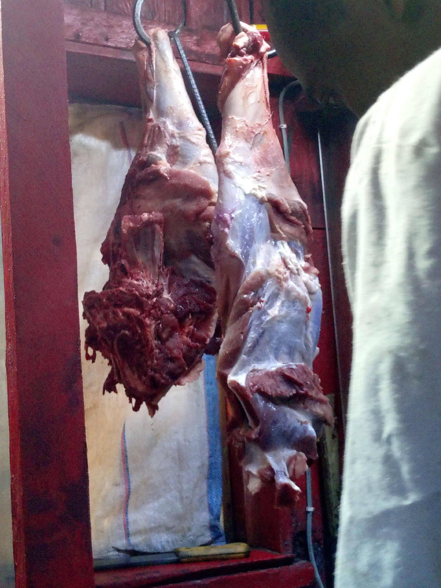 Two pieces of raw meat hang from metal hooks. The meat appears to be animal carcasses or portions of carcasses, with exposed bones and flesh. The color ranges from dark red to light pink. They are positioned in front of a backdrop of what appears to be a cloth or canvas material with red and blue vertical stripes. The area around the meat is dimly lit, with red painted surfaces. A person wearing a light-colored shirt is partially visible on the right side of the frame. Given the potential sale of raw meat in this scene, it is likely located in a market or butchery setting, which could be in the city of Nairobi, Kenya.