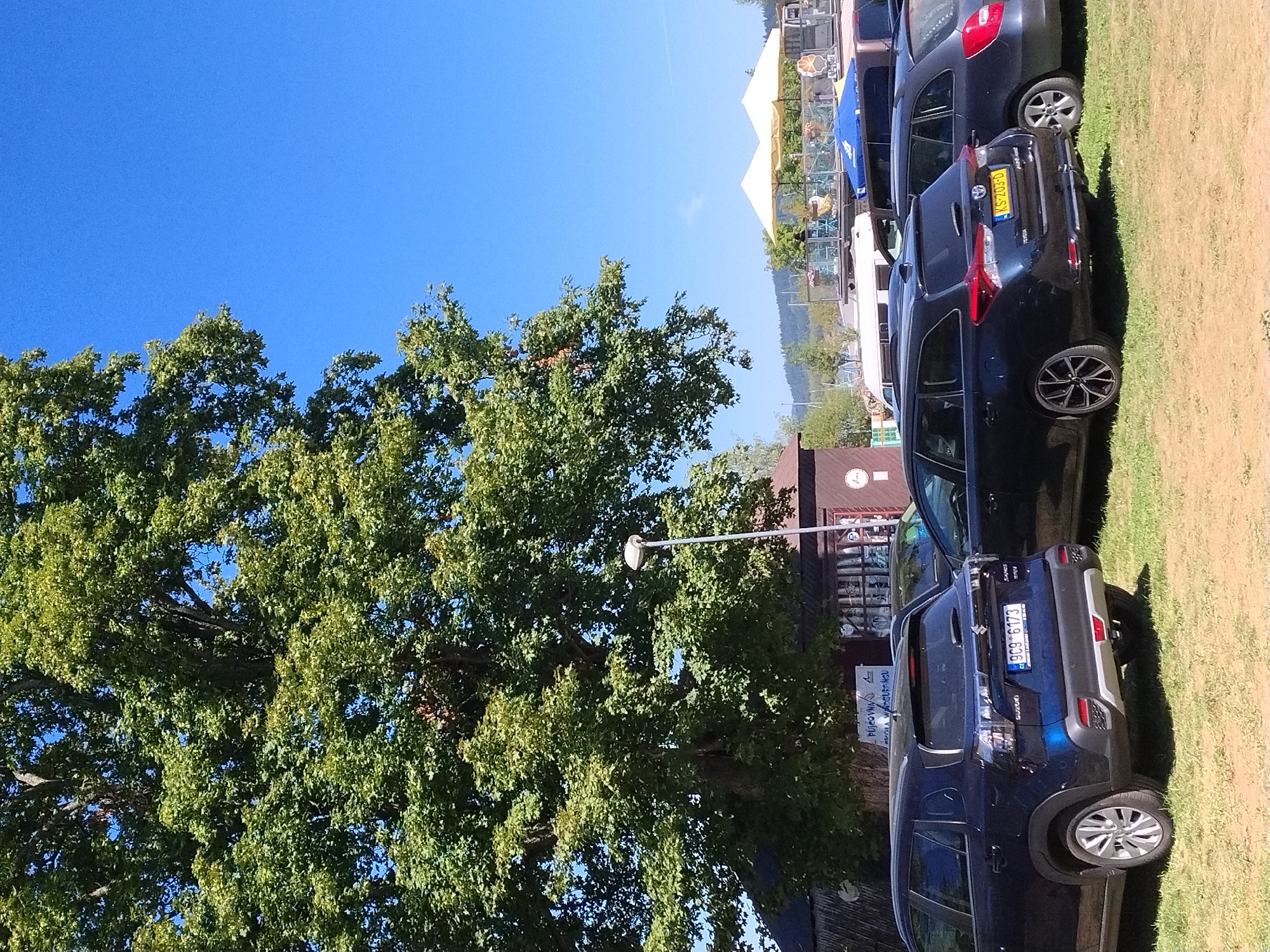 A medium-shot, eye-level, outdoor, daytime, vertical, full-color photograph captures a parking lot in Radslav, Czechia, under a clear blue sky. Dominating the left half of the frame is a large, mature tree with dense green foliage. A light-colored lamppost stands near the trunk of the tree. In the middle ground, a low, dark-colored building with a visible sign is partially obscured by the tree. Parked in front of the building and extending into the foreground are several cars. The closest car, a dark blue Suzuki, is parked on the grass. To its right is a dark blue station wagon, followed by another dark station wagon. In the background, two light-colored umbrellas are visible over an outdoor seating area. The ground in the foreground is covered with dry grass and dirt.