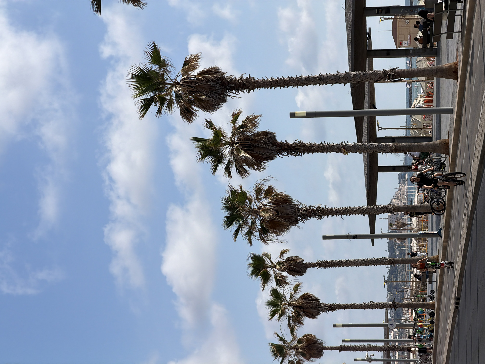The image depicts a promenade in Tel Aviv, Israel, lined with palm trees under a partly cloudy sky. On the right side, pedestrians and cyclists are visible. There are lamp posts and structural elements along the path, with a view of buildings, beach, and the Mediterranean Sea in the background. The scene conveys a typical sunny day at the beachside promenade.