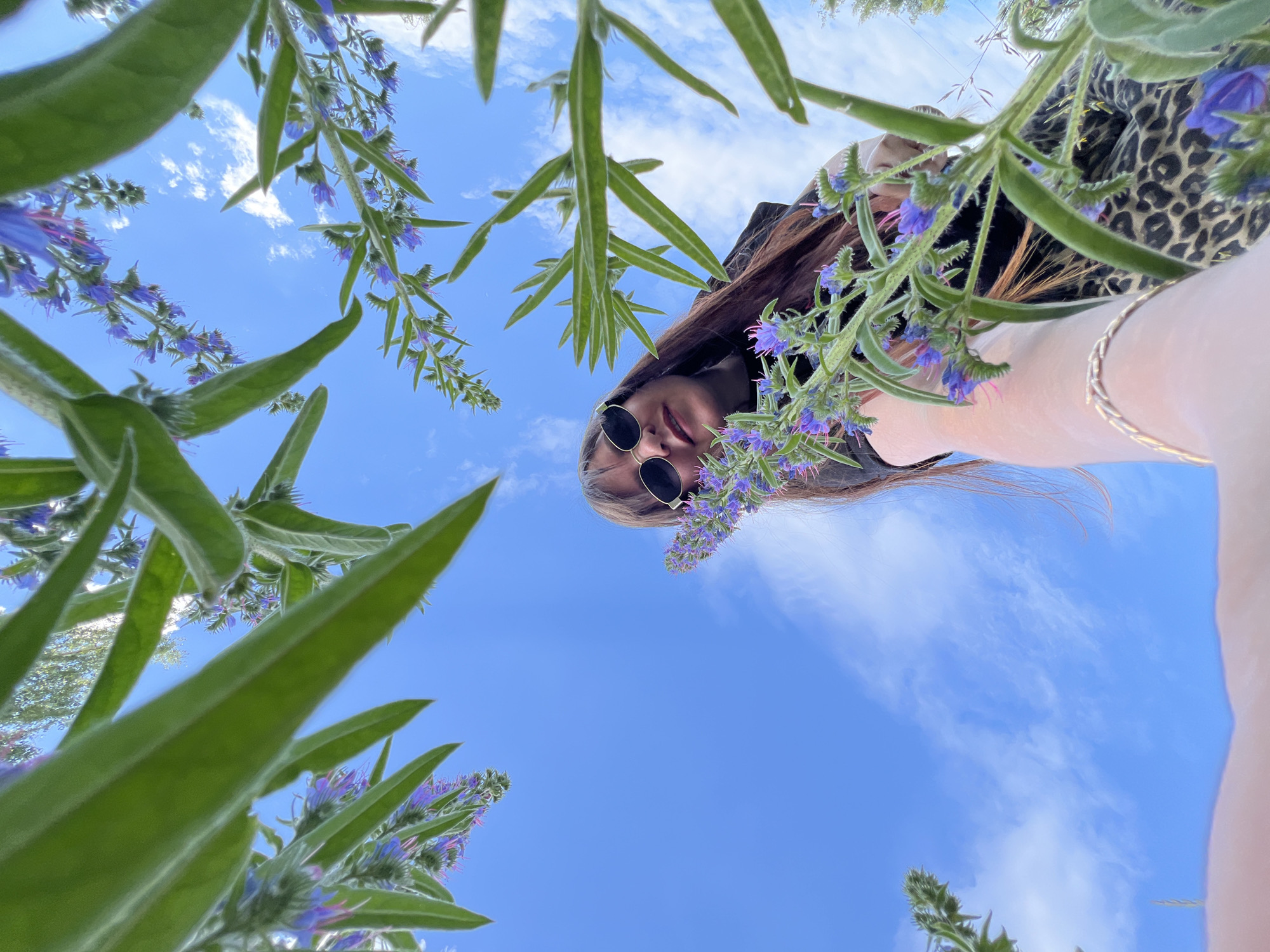 The image is a low-angle shot looking up at a person and a clear blue sky with wispy clouds. The person is partially obscured by tall green plants with small purple flowers. They are wearing sunglasses and a dark top with a leopard print skirt. A person's arm with a gold bracelet is visible in the foreground, reaching towards the camera. The overall impression is of a person enjoying nature. The location is specified as Noviy, Russia.