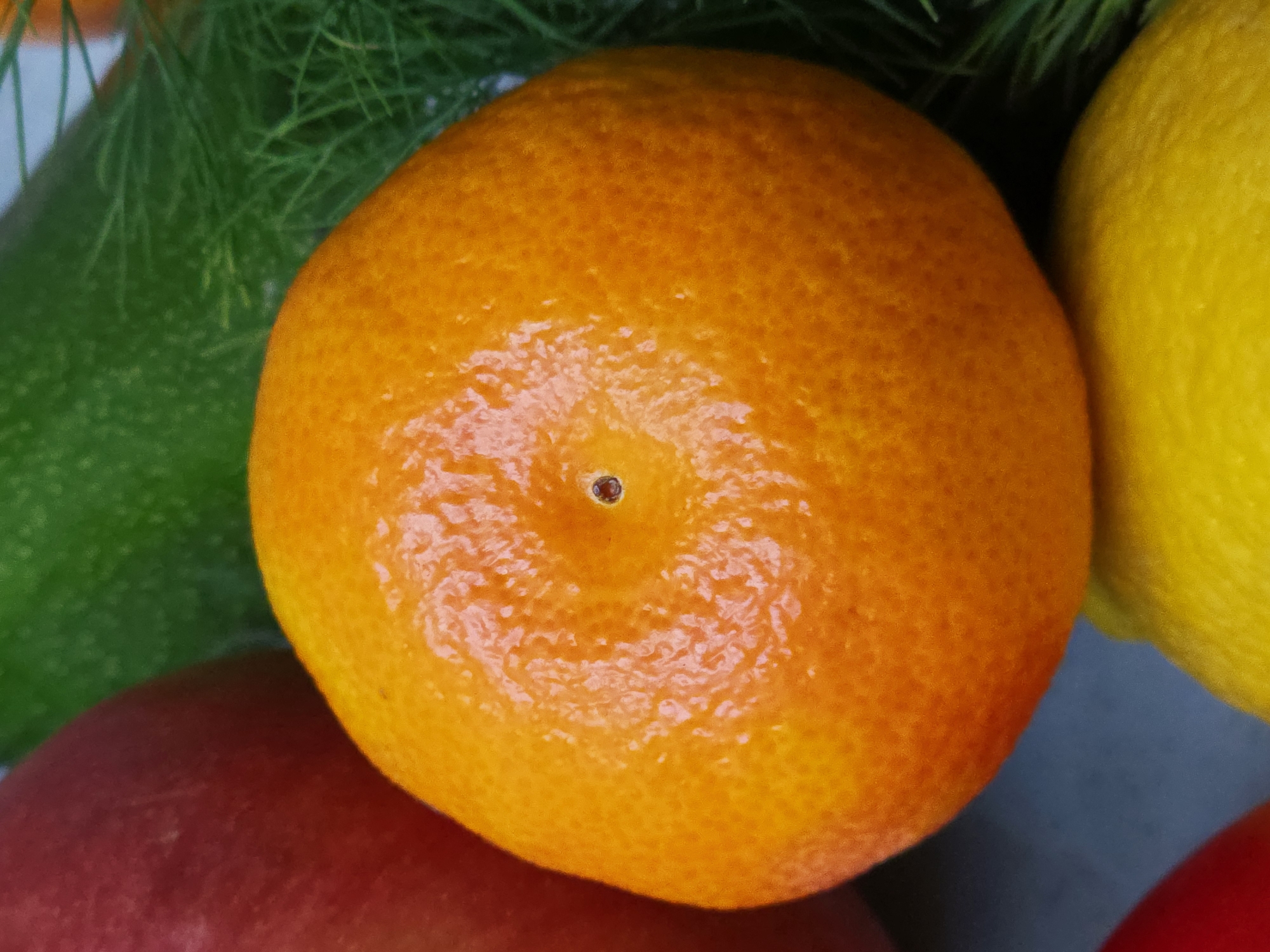 A vibrant, close-up still life features a single, prominent orange mandarin or tangerine positioned centrally. The fruit has a textured, slightly bumpy skin that appears somewhat glossy, reflecting light, and a small, dark circular indent at its center where the stem was attached.
Surrounding the central orange fruit are several other colorful items, partially visible. To the upper left and behind the mandarin, dark green, wispy foliage or herbs, possibly fennel fronds, are visible. On the right side of the frame, a bright yellow citrus fruit, likely a lemon, is partially seen, contrasting with the orange. At the bottom, a deep red fruit, possibly an apple or pomegranate, is partially visible, providing another color accent. A hint of a green fruit or vegetable, possibly a lime or cucumber, is also discernible in the upper left corner.
The lighting is bright and even, highlighting the colors and textures of the produce. There is no discernible activity taking place, as it is a static arrangement of items. No people or visible text are present in the image. The focus is entirely on the fresh produce and its natural beauty.