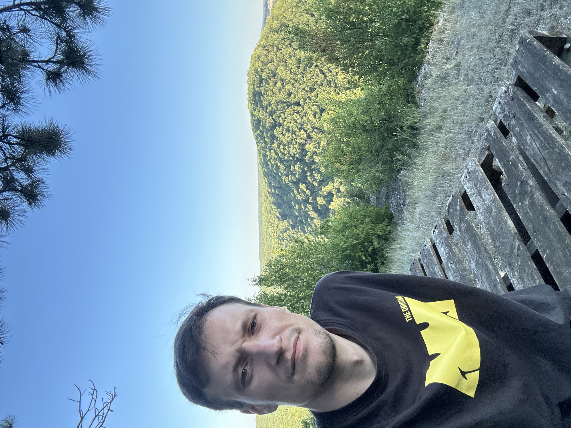 A man is taking a selfie on a wooden structure outdoors with a landscape of trees in the background. The man is wearing a black t-shirt with a yellow logo. The landscape consists of rolling hills covered in green trees under a clear blue sky. There are pine branches visible in the upper corners of the image. The wooden structure appears to be made of pallets. The location is the city of Pryvorottia Druhe, Ukraine.