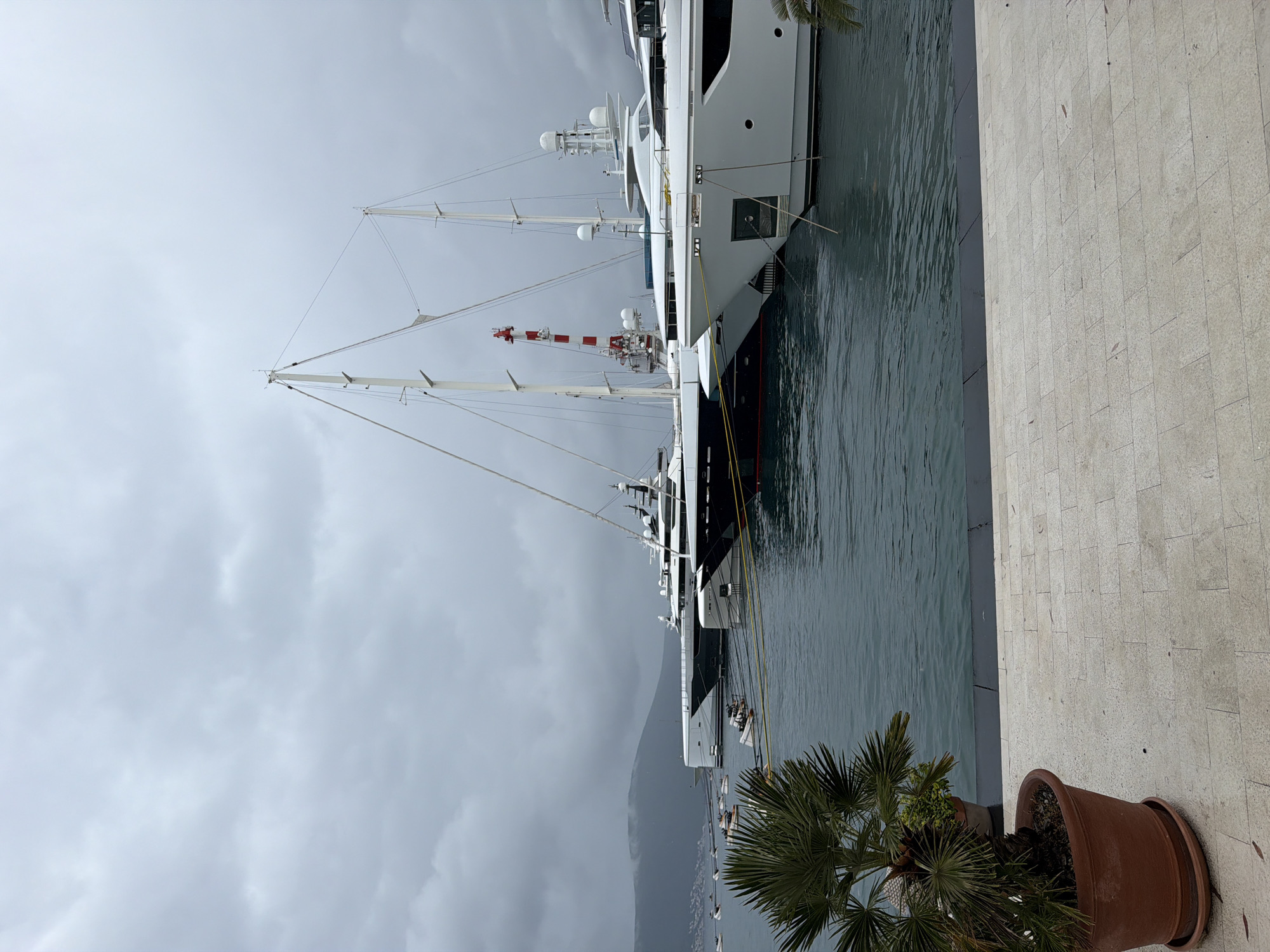 The image depicts a view of Porto Montenegro in Tivat, Montenegro. Several large yachts are docked along a waterfront promenade. The yachts vary in size and design, with tall masts extending upwards. One yacht has a red and white striped boom. The water is calm and reflects the overcast sky. A stone walkway is visible along the right edge of the image, with a large terracotta plant pot containing a small palm tree in the foreground. In the background, a mountain range is partially obscured by the cloudy sky. No people are visible in the scene.