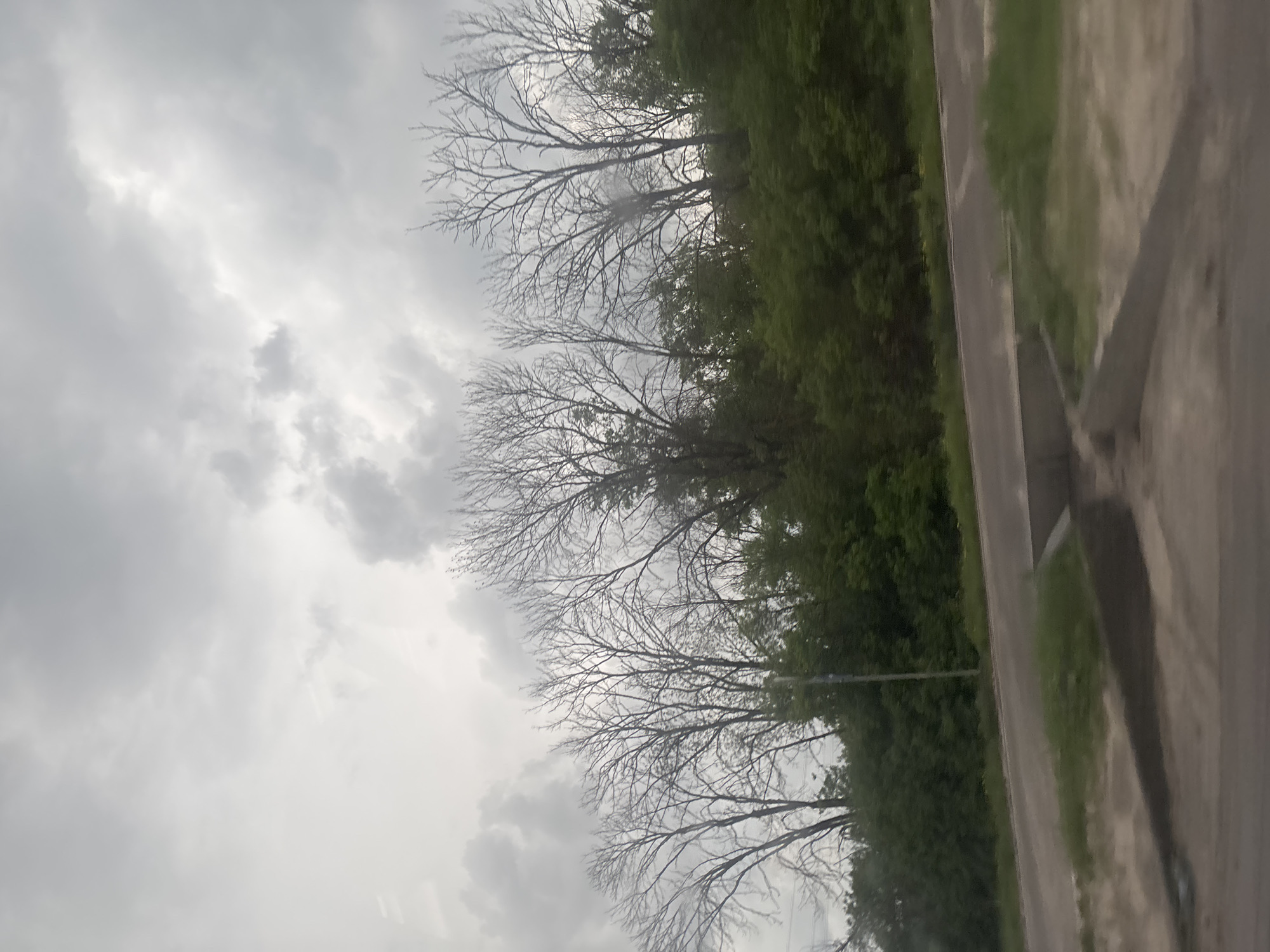 The image shows a street scene in Екатериновка, Russia. The sky is overcast with grey clouds. A row of leafless trees lines the street on the left. To the right of the trees, there is a strip of green foliage or bushes. A paved road with a curb or edge runs along the right side of the frame. There are no people visible.