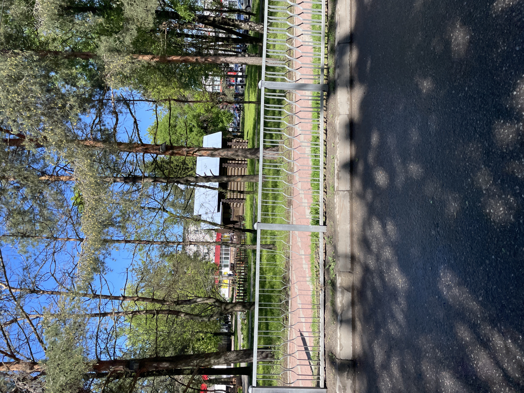 The image presents an outdoor scene in Priozersk, Russia, likely taken during the daytime. A gray metal fence runs parallel to an asphalt road. Beyond the fence, a brick pathway is visible, adjacent to a grassy area interspersed with tall pine trees. Several buildings are visible in the background, including a structure with a red roof. The sky is visible through the branches of the trees. There are no people visible in the image. The shadows cast on the asphalt suggest that the sun is positioned to the right of the frame.