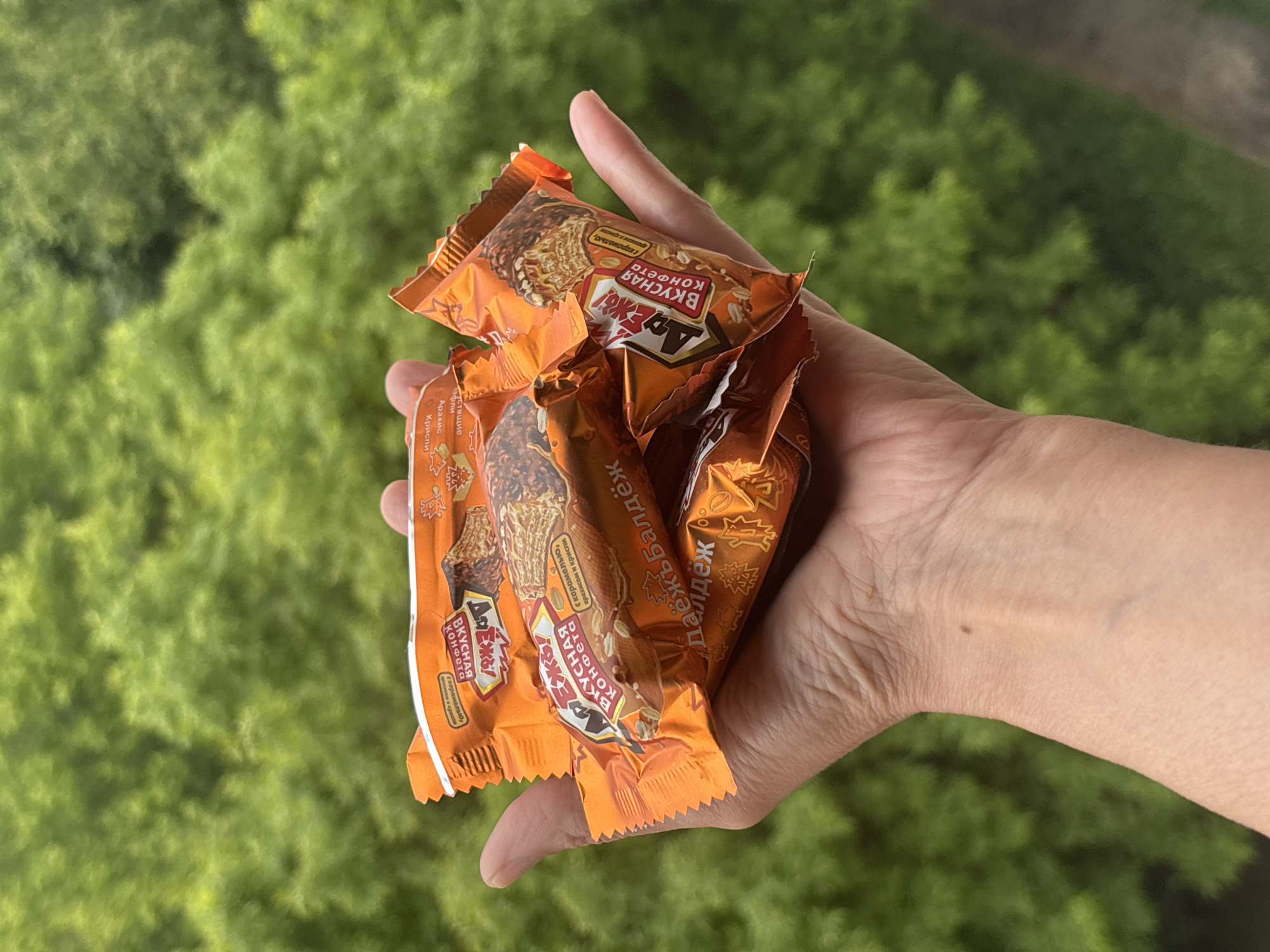 A person's hand holds several individually wrapped candy bars in an outdoor setting, likely a balcony or patio with a green, out-of-focus foliage backdrop. The candy wrappers are predominantly orange with a depiction of the candy inside and text in Russian, including the brand "DaEzh" and phrases like "Vkusnaya Konfeta" (Delicious Candy) and the name of the candy, "Dajdezh" (ДаЁжъ). Some wrappers also highlight ingredients such as caramel, peanuts, and crispy wafers. The candies appear to be a snack item, and the scene implies a casual moment, possibly in Minsk, Belarus, given the Russian text on the wrappers.