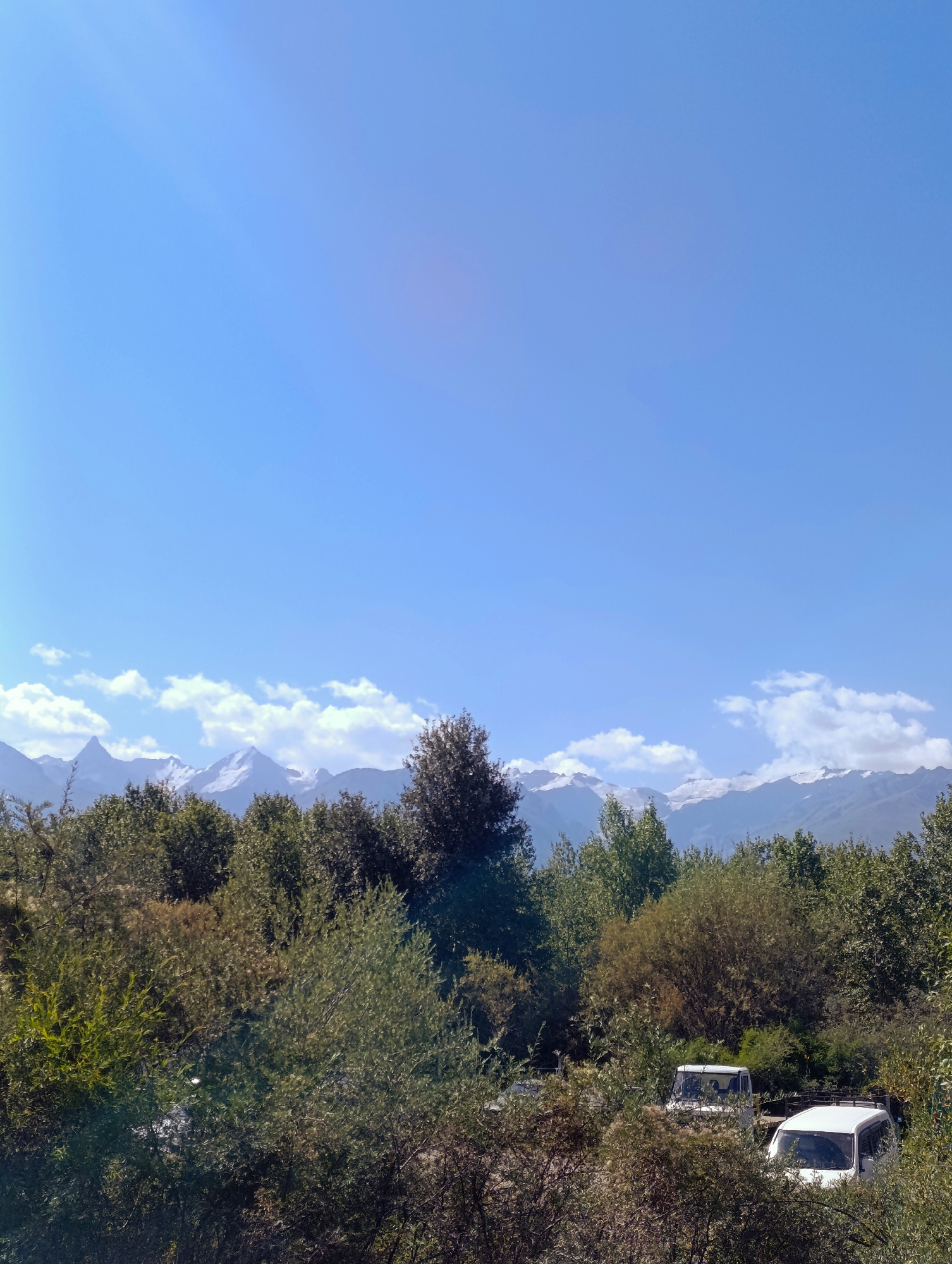The image depicts a natural landscape with a clear blue sky. In the foreground, a dense arrangement of green and brown trees and bushes obscures a portion of the scene. Partially visible through the foliage are two white vehicles, one a van and another a truck, parked near each other. In the mid-ground, a line of trees stretches across the frame, and beyond them, a mountain range with snow-capped peaks rises against the horizon. Scattered white clouds drift across the sky above the mountains. The scene suggests an outdoor setting, possibly in a rural or mountainous area. The city of At-Bashy, Kyrgyzstan, is known for its mountainous terrain and natural beauty, making this image consistent with its geographical characteristics.