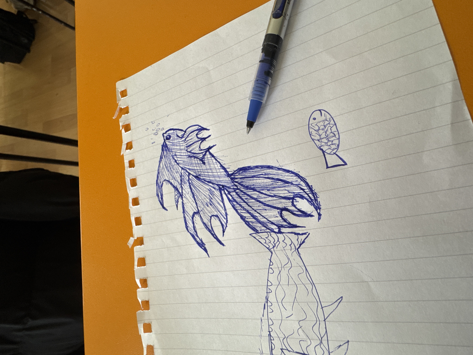 The image shows a sheet of lined paper with pen drawings, lying on an orange surface. A blue ballpoint pen rests diagonally across the top of the paper, pointing towards the drawings.
The main subject is a stylized drawing of a fish, rendered in blue ink. This fish has prominent, elaborate fins and a large, flowing tail, detailed with cross-hatching and line work to create texture and depth. Small bubbles are drawn near its mouth, suggesting it is underwater. To the upper right of the main drawing, a smaller, simpler, oval-shaped fish is sketched, also in blue ink with internal line patterns. Below the main fish, partially visible at the bottom of the paper, is the upper body of another large fish, depicted with scales and spikes, suggesting a continuation of a larger scene or another separate drawing.
The paper itself has a ragged, torn edge on the left side, indicating it was likely ripped from a spiral notebook or binder. The orange surface on which the paper rests appears to be a solid, smooth material, possibly a desk mat or notebook cover. To the left of the orange surface, a light brown wooden surface with horizontal slats is visible, and further left, a dark black, possibly fabric, surface can be seen.
The scene depicts an ongoing or recently completed drawing activity. There is no visible text on the paper or the pen. The lighting suggests an indoor setting, likely during the daytime. No specific location cues for Buhovo, Bulgaria, are visible beyond the objects themselves.