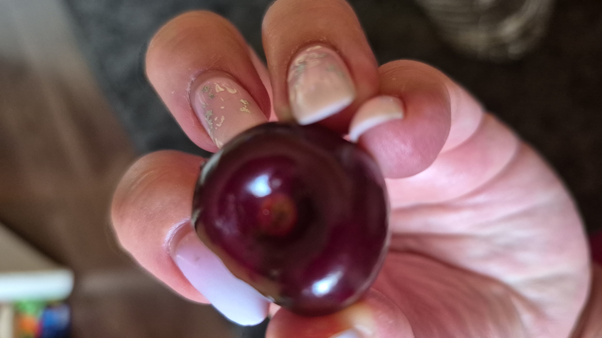 A close-up shot shows a person's fingers, adorned with light pink and pearl-colored nail polish, holding a dark red cherry. The cherry is plump and glossy, with a slight indentation at its top. The background is blurred, with hints of dark gray and brown, suggesting an indoor environment. The specific location in Krauja, Latvia is not discernible from the image.