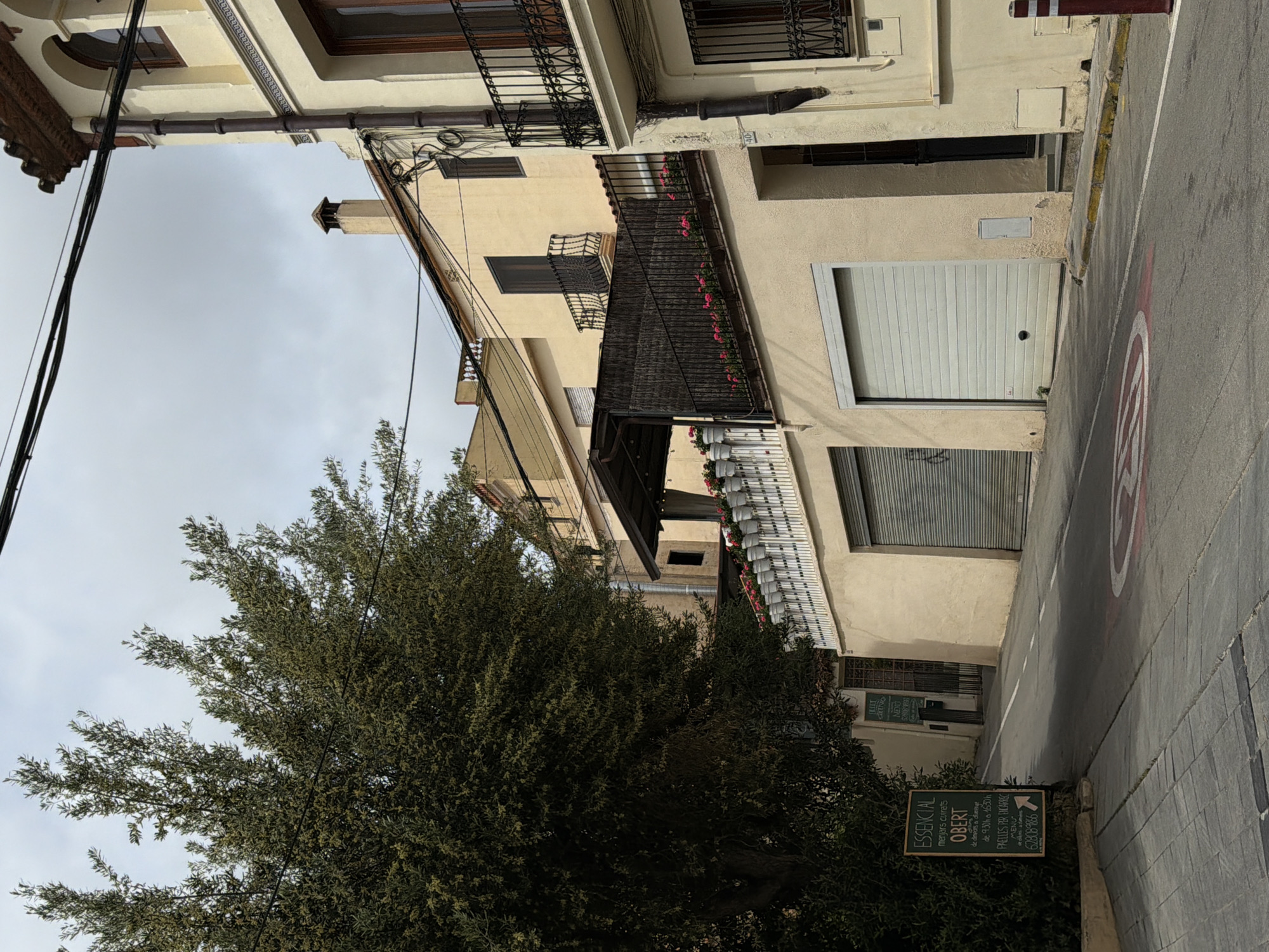 Here is a description of the image:
The image shows a street scene in what appears to be Sant Andreu de Llavaneres, Spain. The street is lined with buildings, mostly two or three stories tall, painted in light, neutral tones. Some buildings have wrought iron balconies adorned with flowers. A large tree occupies the left side of the frame, partially obscuring the buildings behind it.
On the right side of the street, a sidewalk borders the roadway. A sign is visible near the bottom right, advertising "ESSENCIAL menjars cuinats OBERT," indicating a prepared food establishment. The sign also mentions "PAELLES PER ENCARREC," suggesting paella is available to order. A speed limit sign is painted on the road. Utility lines are visible against the sky. The sky is overcast.