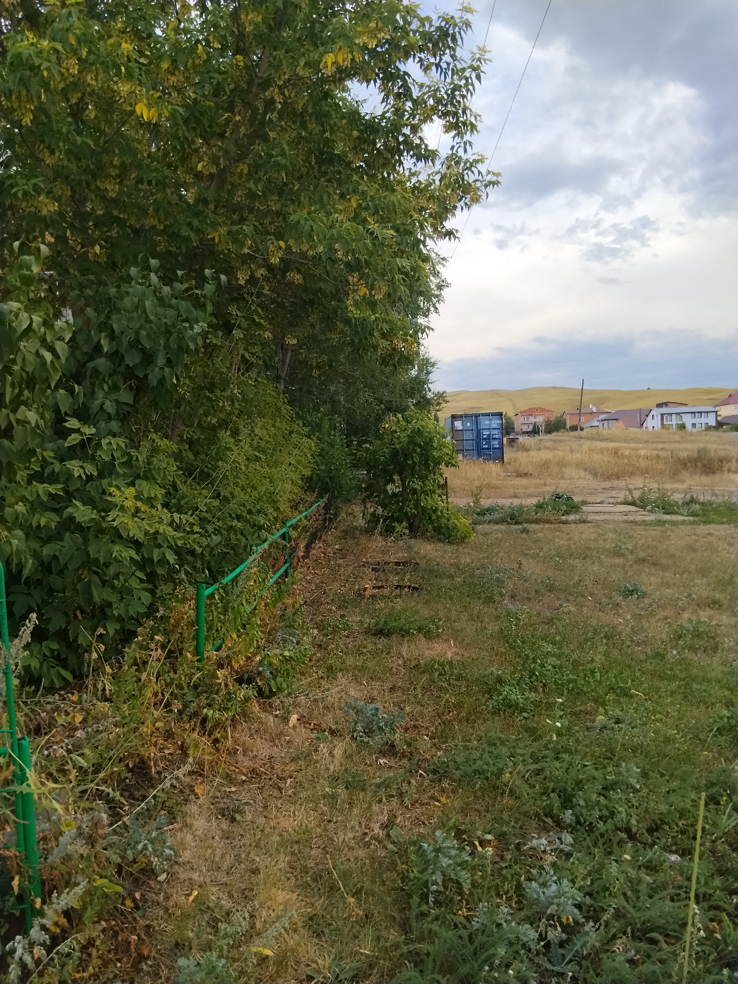The image depicts a natural scene in the outskirts of Kokshetau, Kazakhstan. A dense, green foliage of trees and shrubs occupies the left side of the frame, with a faint green metal fence running along its edge. The ground is covered with dry grass and some green vegetation. In the background, a large blue shipping container is visible in a field of dry grass, surrounded by scattered houses with red and white roofs, set against rolling hills under a cloudy sky. The overall impression is of a semi-rural or undeveloped area.