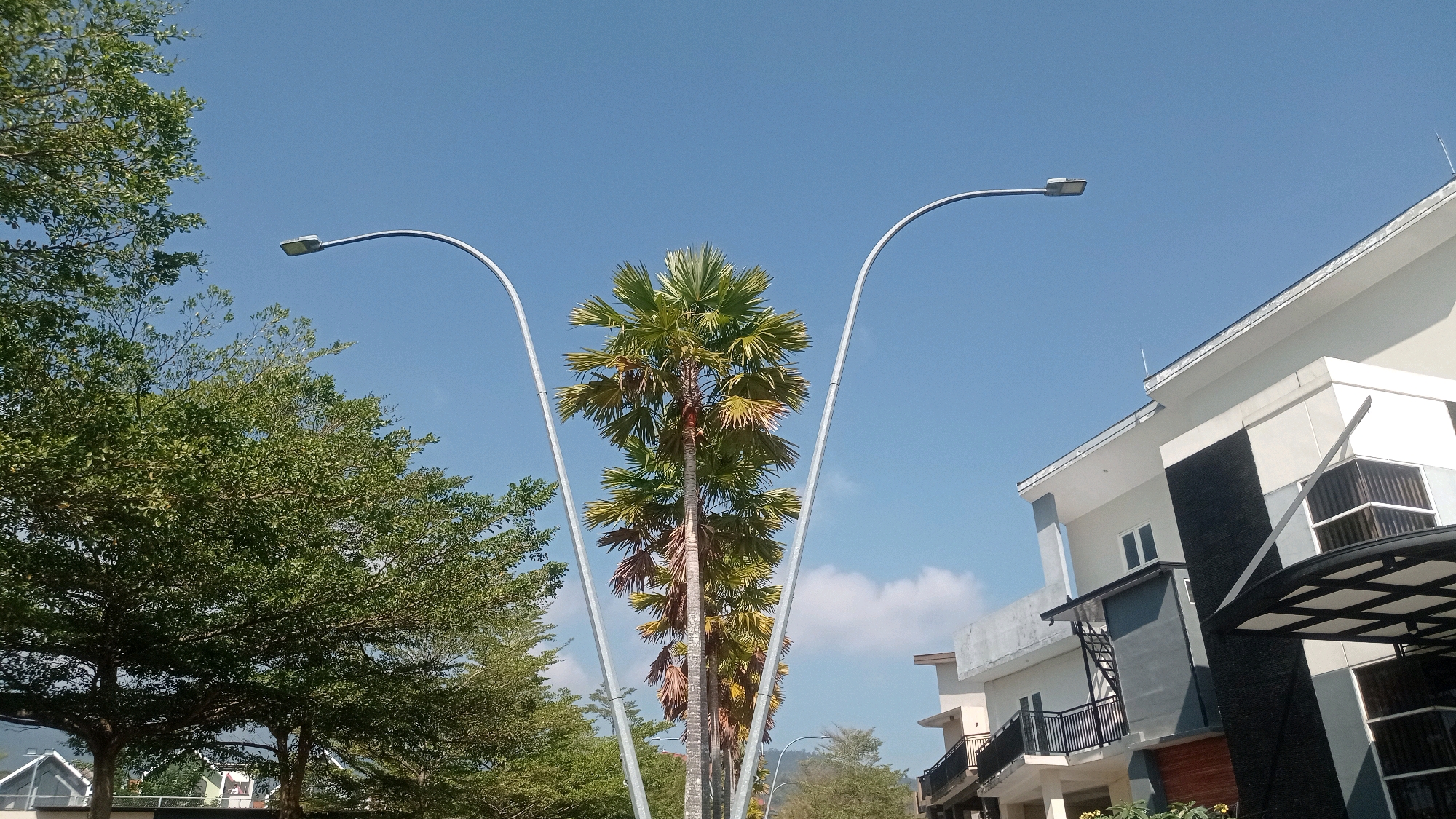 The image depicts a clear blue sky over a residential area in Batu, Indonesia. In the foreground, two modern streetlights with curved metal poles arch upwards, framing a tall palm tree. To the left, a lush green tree with dense foliage dominates the frame, and to the right, a multi-story building with a contemporary architectural style is visible, featuring balconies, dark accents, and white walls. The building appears to be a house or apartment complex. The environment suggests a sunny day in a developed urban or suburban setting, with the mountains faintly visible in the background. There are no people visible in the image.
