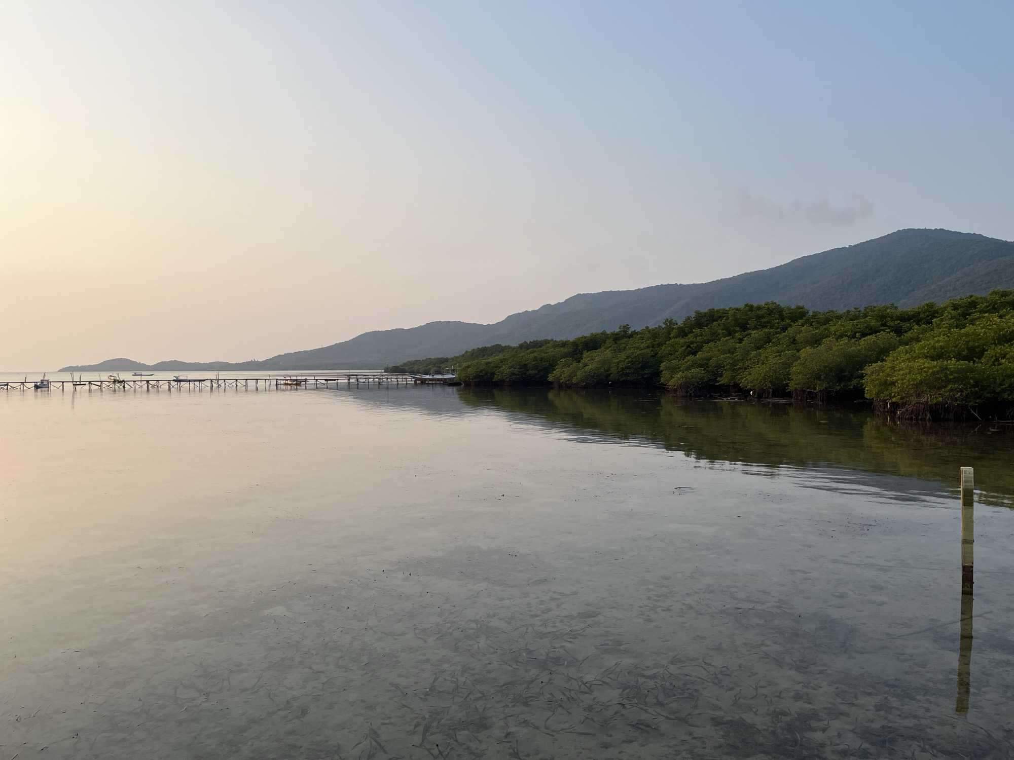 The image captures a tranquil scene at dawn in Karimunjawa, Indonesia, likely on a low tide. In the foreground, shallow, clear water reveals the sandy seabed with scattered aquatic plants. A single, tall, metallic post stands vertically in the water to the right, its reflection visible on the surface. Across the water, a long wooden pier stretches from the left, supporting small structures and boats. Beyond the pier, a dense line of lush green mangrove trees forms a natural border, their reflections shimmering on the calm water. In the background, rolling, forested hills under a pale, hazy sky complete the serene landscape. The overall atmosphere is one of peace and natural beauty, characteristic of coastal areas at sunrise.
