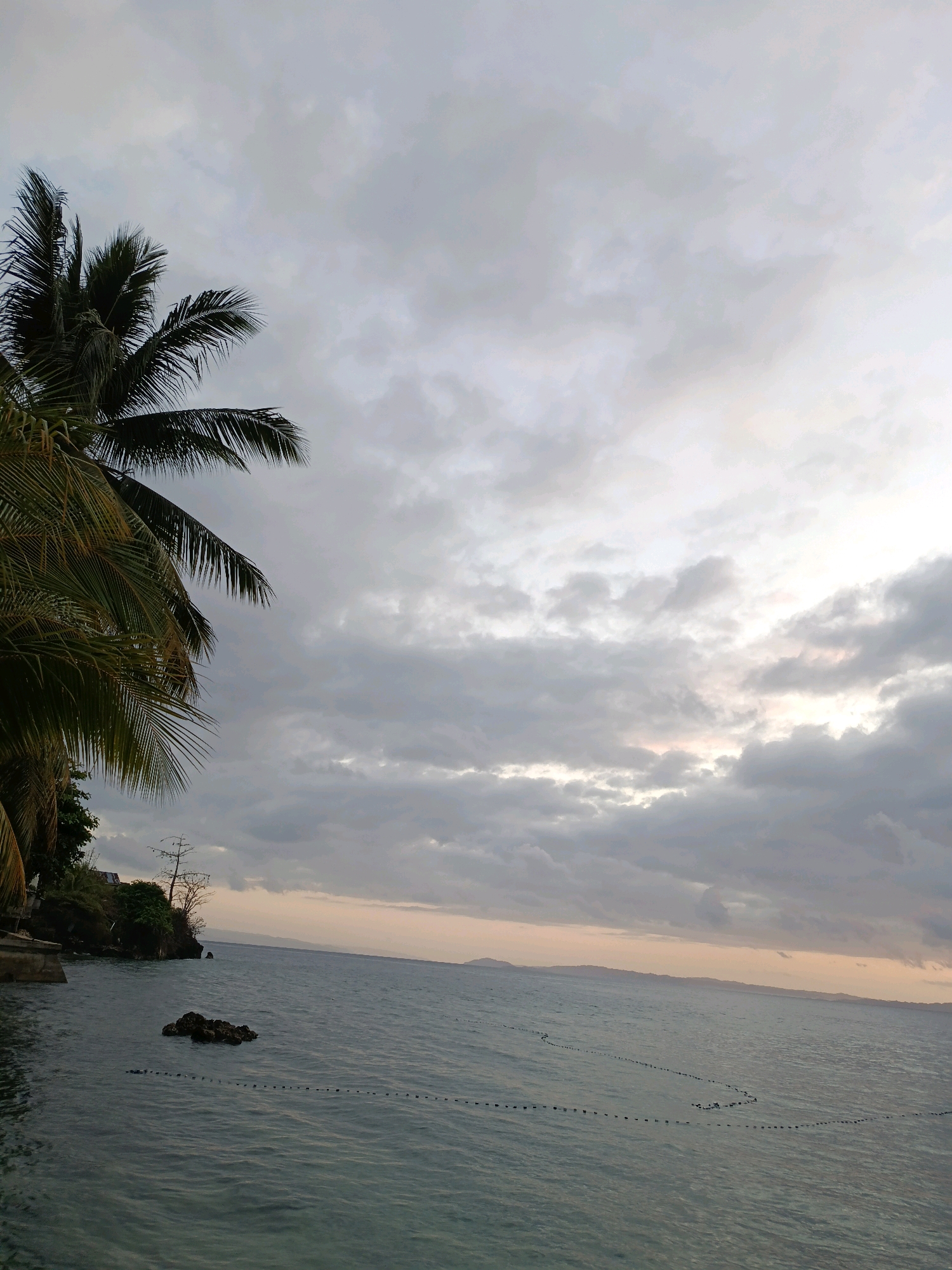 The image depicts a serene coastal scene at dusk in Mansalean, Indonesia. A portion of a lush green palm tree is visible in the upper left quadrant, its fronds fanning out against a cloudy, muted sky. The ocean, a deep, tranquil blue, dominates the lower and right portions of the frame. A rocky outcrop juts out of the water to the left, with a small cluster of dark, irregular rocks in the foreground. A series of buoys, marking a line across the water, create a subtle visual rhythm. In the distance, a faint, hazy shoreline with undulating hills is visible against the horizon, where the sky transitions to soft hues of orange and pink. The overall atmosphere is one of peaceful twilight by the sea.