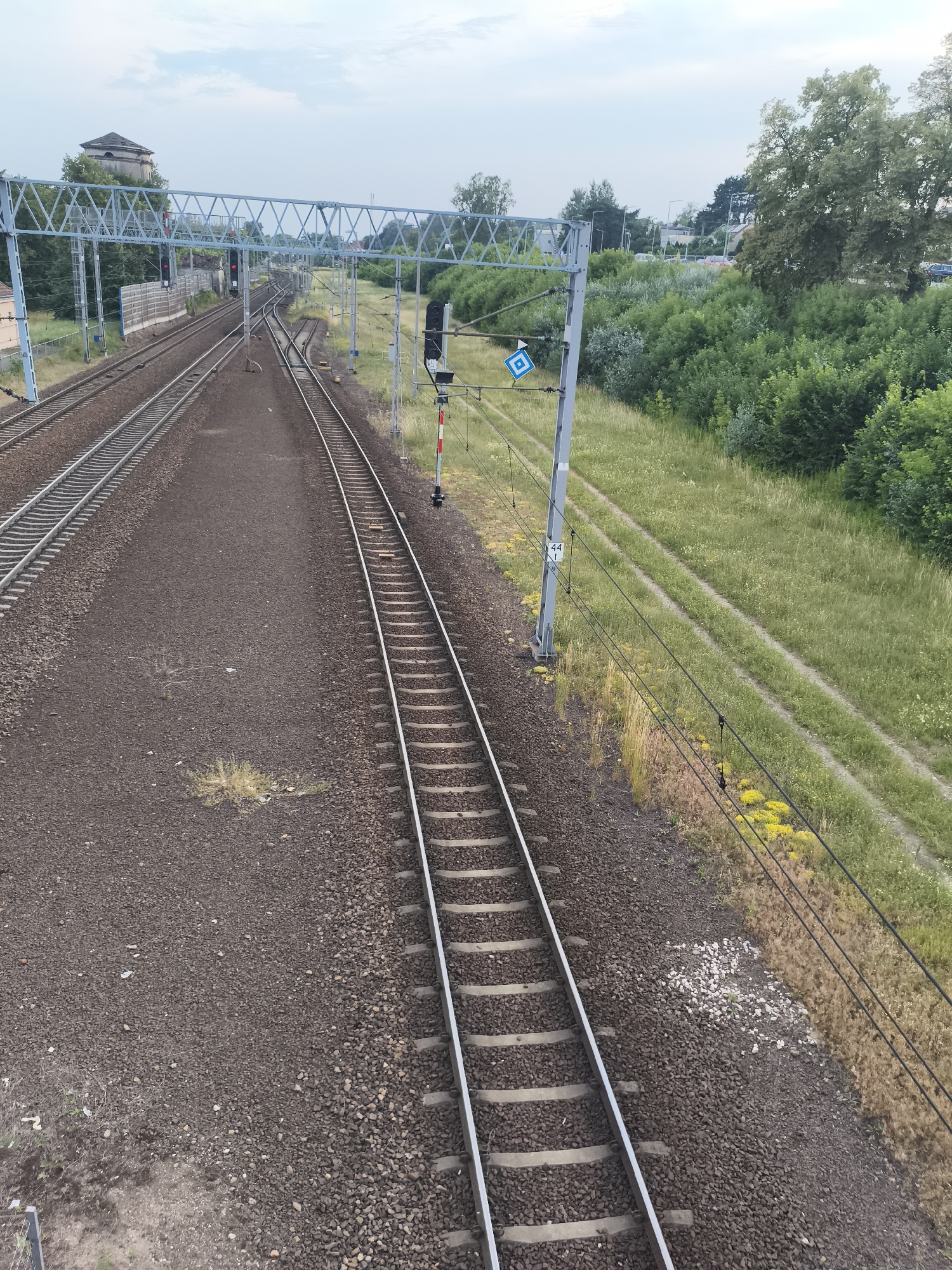 This image captures a railway landscape in Nowy Dwór Mazowiecki, Poland. The scene is dominated by multiple sets of train tracks, with the foreground showing a close-up of a track running diagonally from the bottom right towards the center. The tracks are laid on a bed of dark gravel. To the left, another set of tracks runs parallel, also on gravel. In the distance, the tracks curve and merge, with overhead power lines supported by tall, grey poles visible throughout the scene.
One of these poles features a signal light with red and green indicators and a blue diamond-shaped sign with a white border. Another pole further back has a white number "44" on it. Overhead, a complex metal structure, likely part of the railway infrastructure, spans across the tracks.
The surrounding environment is lush and green, with dense bushes and trees lining the right side of the image. Patches of dry grass and small yellow wildflowers are scattered along the embankment. In the far distance, a few buildings and more trees are visible under a cloudy sky, suggesting it is daytime. The overall impression is one of a functional railway environment with a natural, overgrown setting. There are no people visible in the image.