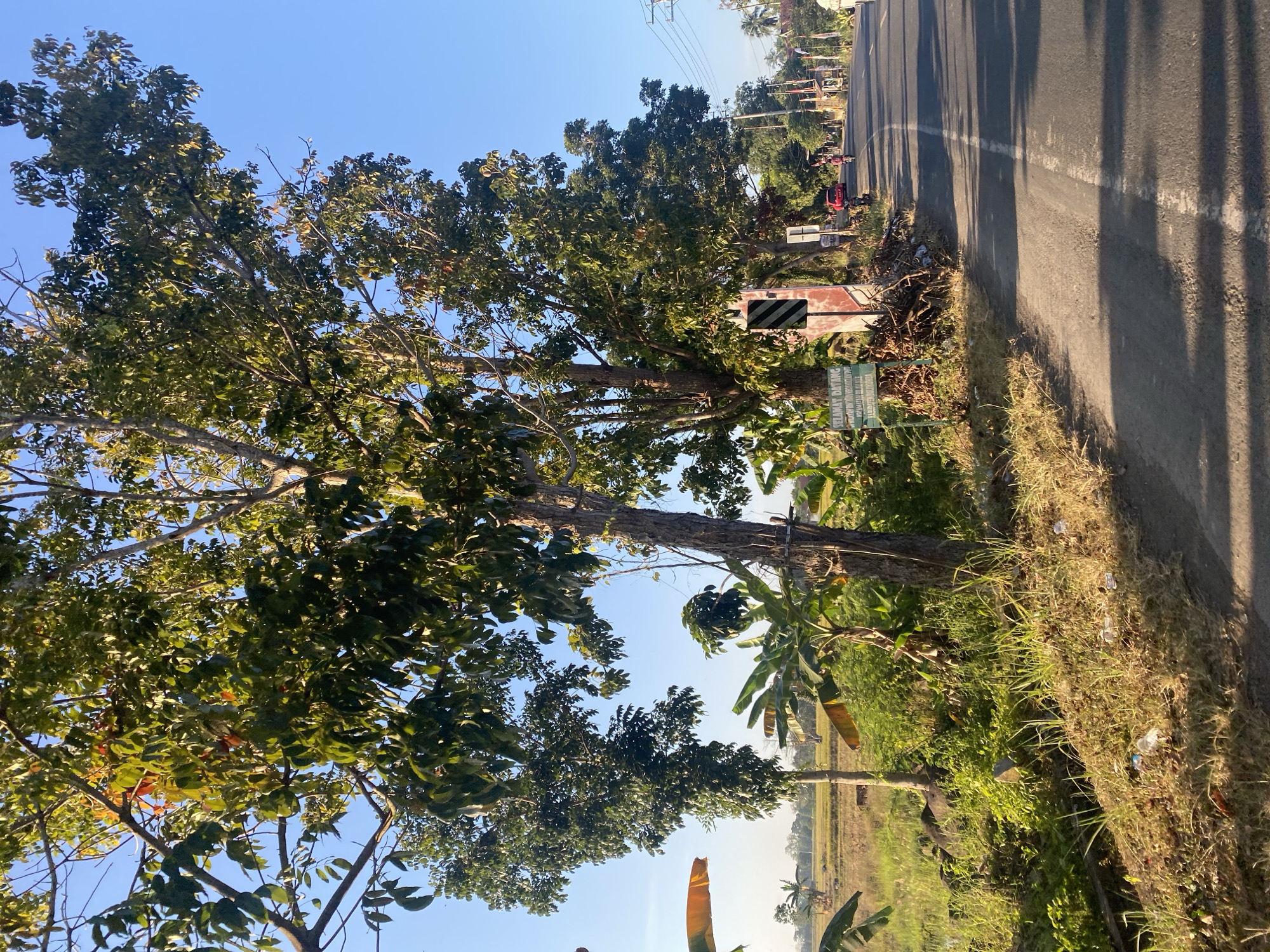 This image depicts a road in the city of Tanah Harapan, Indonesia, on a clear day. The road is asphalt, with a white line marking the center. On the right side of the road, there are trees and vegetation. A red car and a person on a motorcycle are visible on the road. A green sign with text in Indonesian is present on the left side of the road. In the background, there are rice fields and more trees. The overall scene suggests a rural or semi-rural setting.