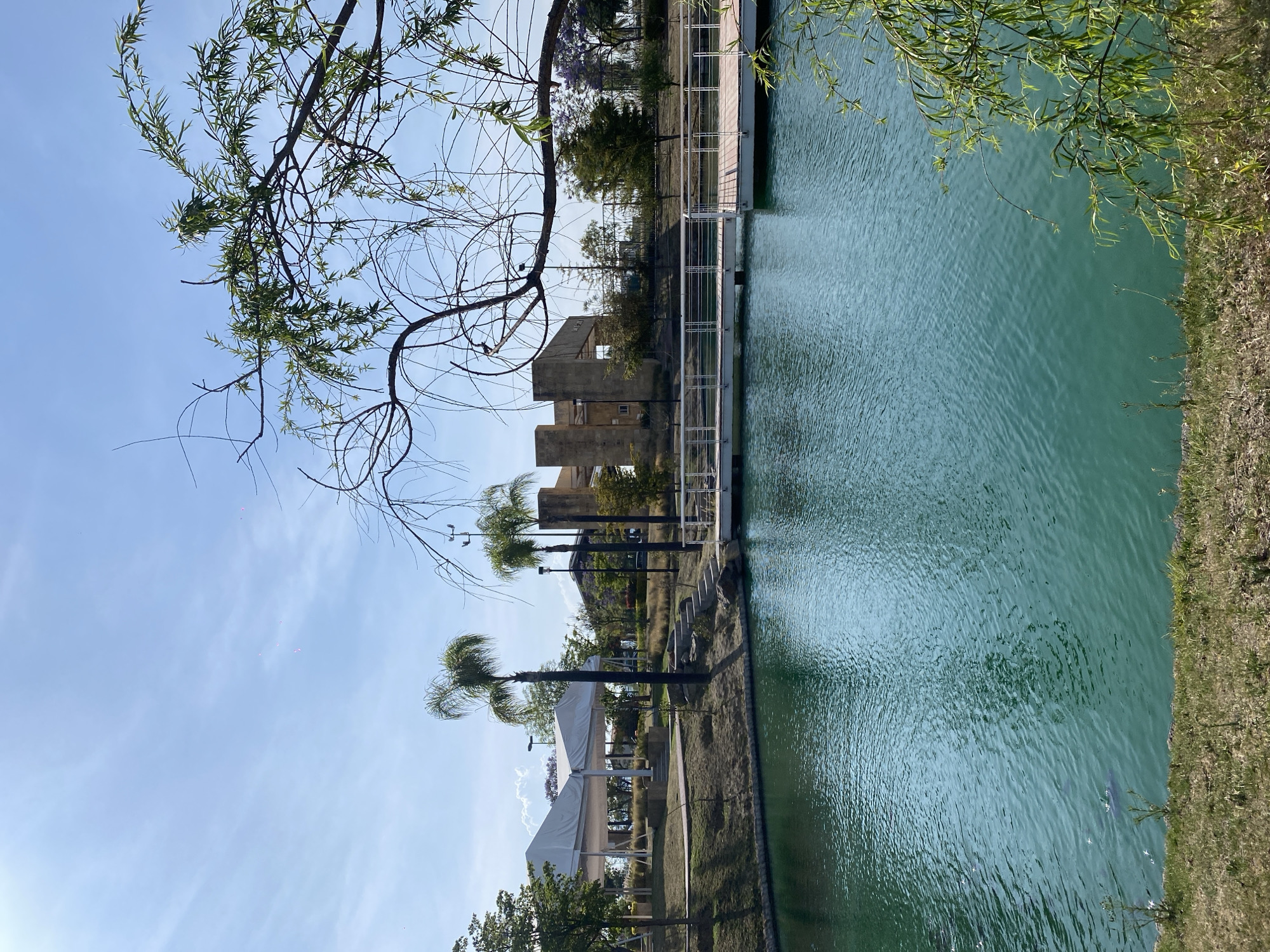 The image depicts a body of water, possibly a canal or river, bordered by green grass and trees on the right side. On the left, there's a walkway with a white fence. Structures and vegetation are visible in the background. The sky is light blue, and branches with leaves are visible in the foreground.