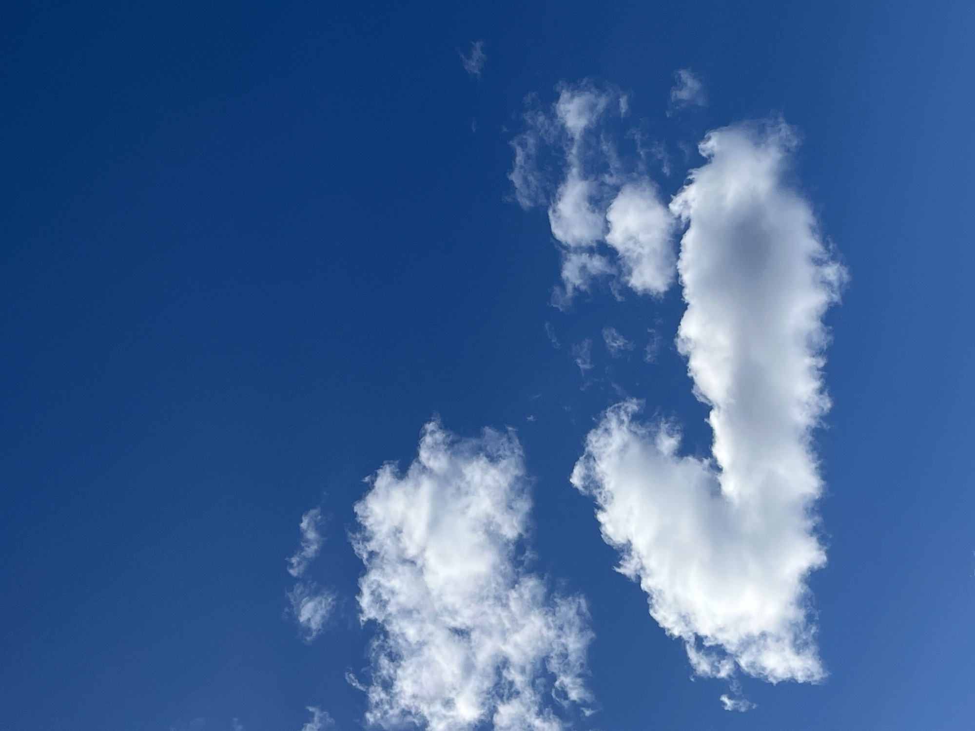 A cloudscape is presented against a clear blue sky. The clouds are white and puffy, varying in size and density. One cloud, prominently situated on the right side of the frame, is vertically elongated and dense, casting a shadow on itself. Smaller, more scattered clouds appear to the left and below the larger cloud. The sky is a uniform, deep blue, devoid of any additional cloud cover. The image appears to have been taken in daylight. The location is Chaikovsky, Russia.