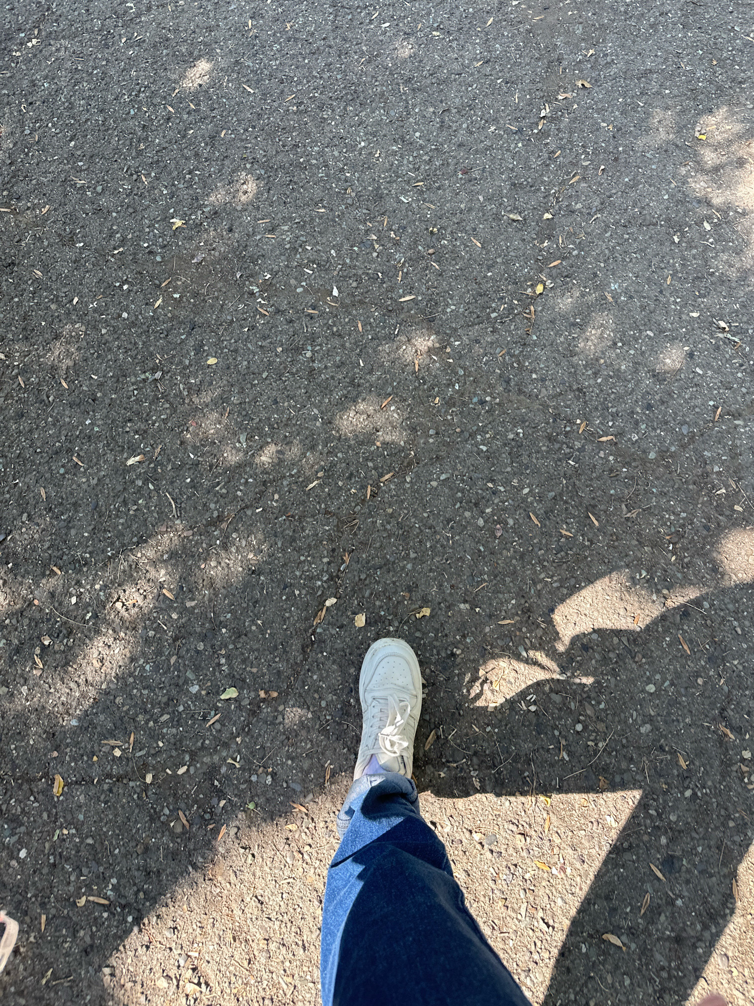 A low-angle, full shot captures a person's left leg and foot as they walk on an asphalt surface. The person wears blue jeans and a white sneaker. The ground is dark gray asphalt with scattered small stones and dry leaves. Patches of sunlight cast shadows from unseen foliage onto the asphalt, creating an dappled effect. The scene is set on a pedestrian pathway or sidewalk. This image was taken in Gyumri, Armenia.